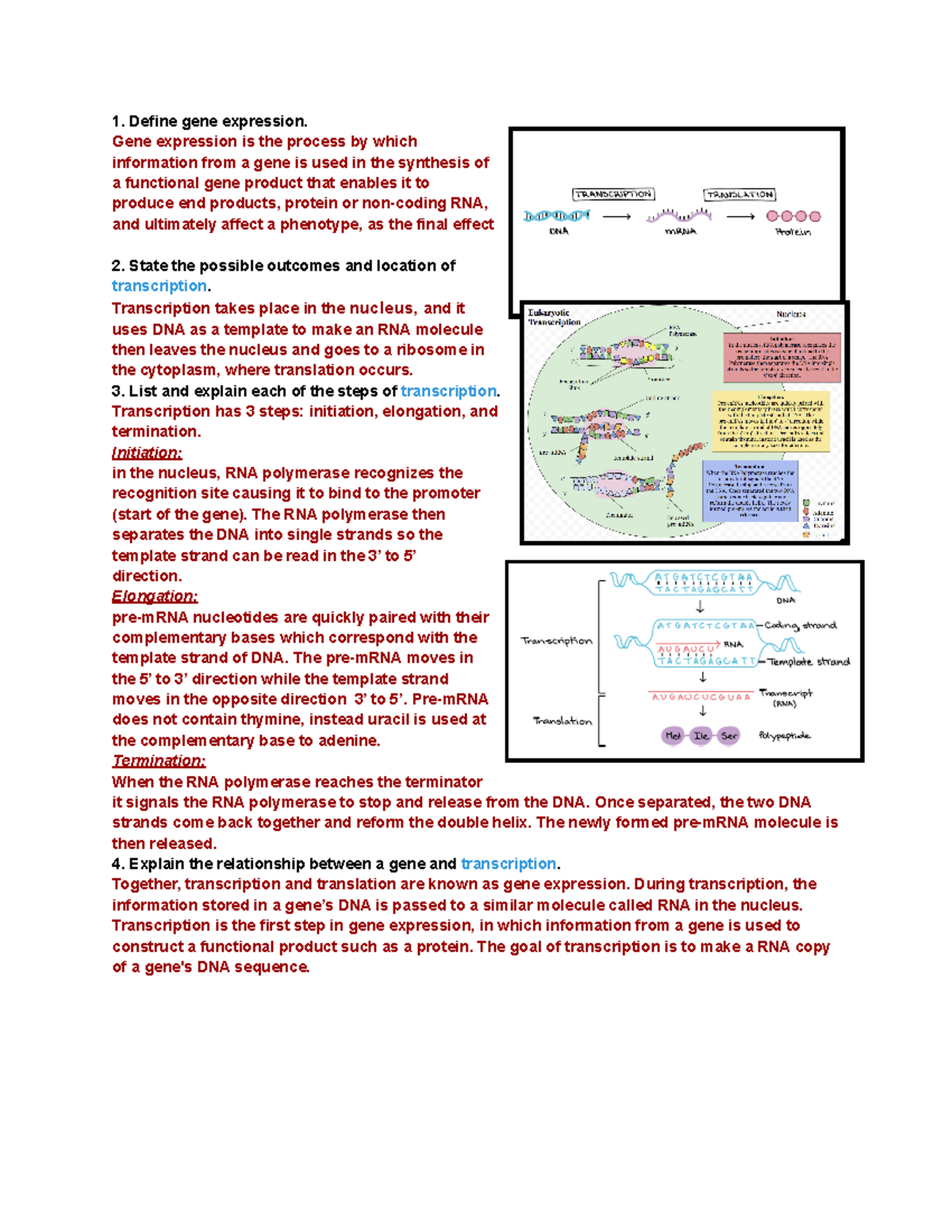 Exam 3 lecture objectives - Define gene expression. Gene expression is ...