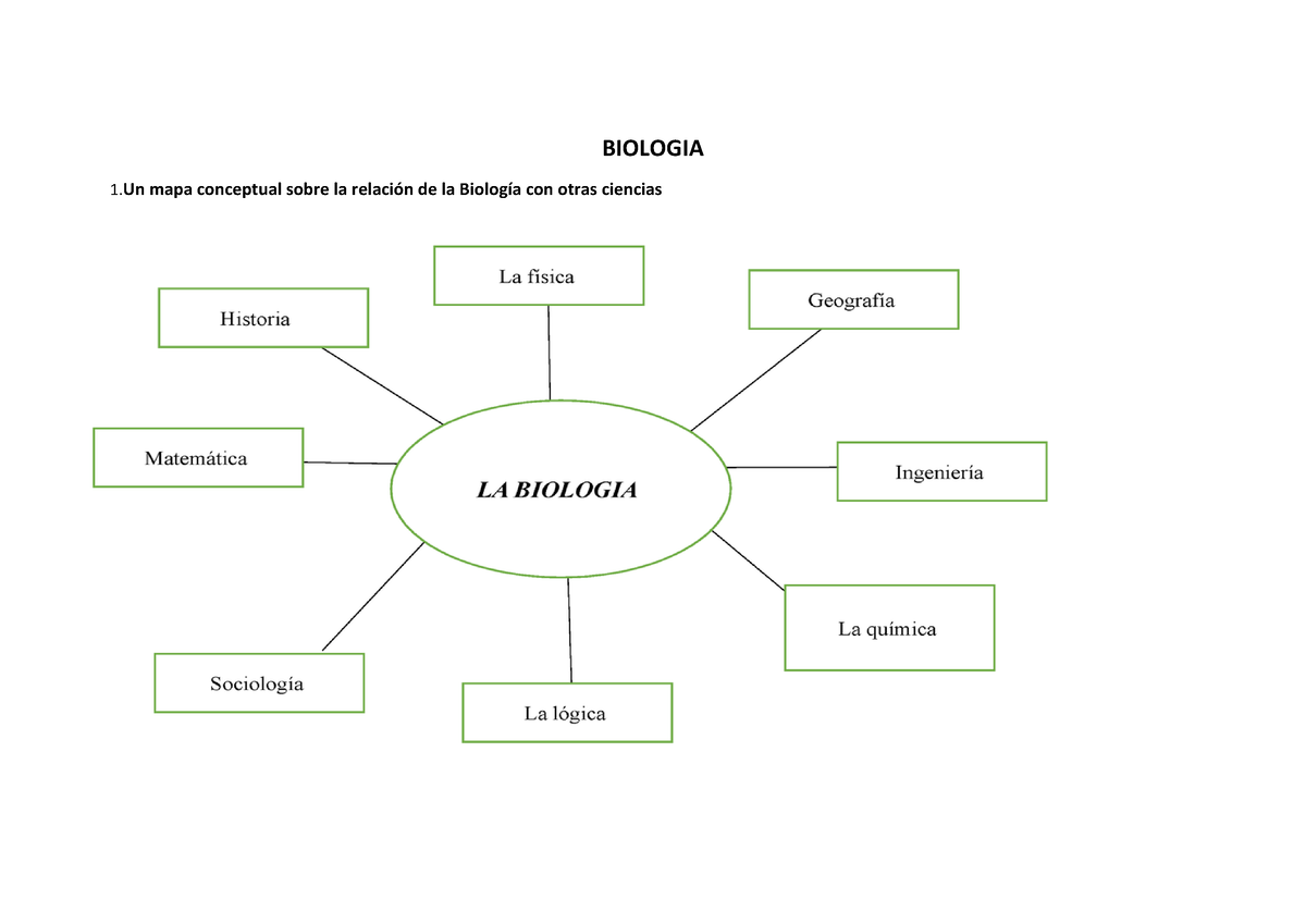Mapa conceptual Rainiel Mendez - BIOLOGIA 1 mapa conceptual sobre la  relación de la Biología con - Studocu