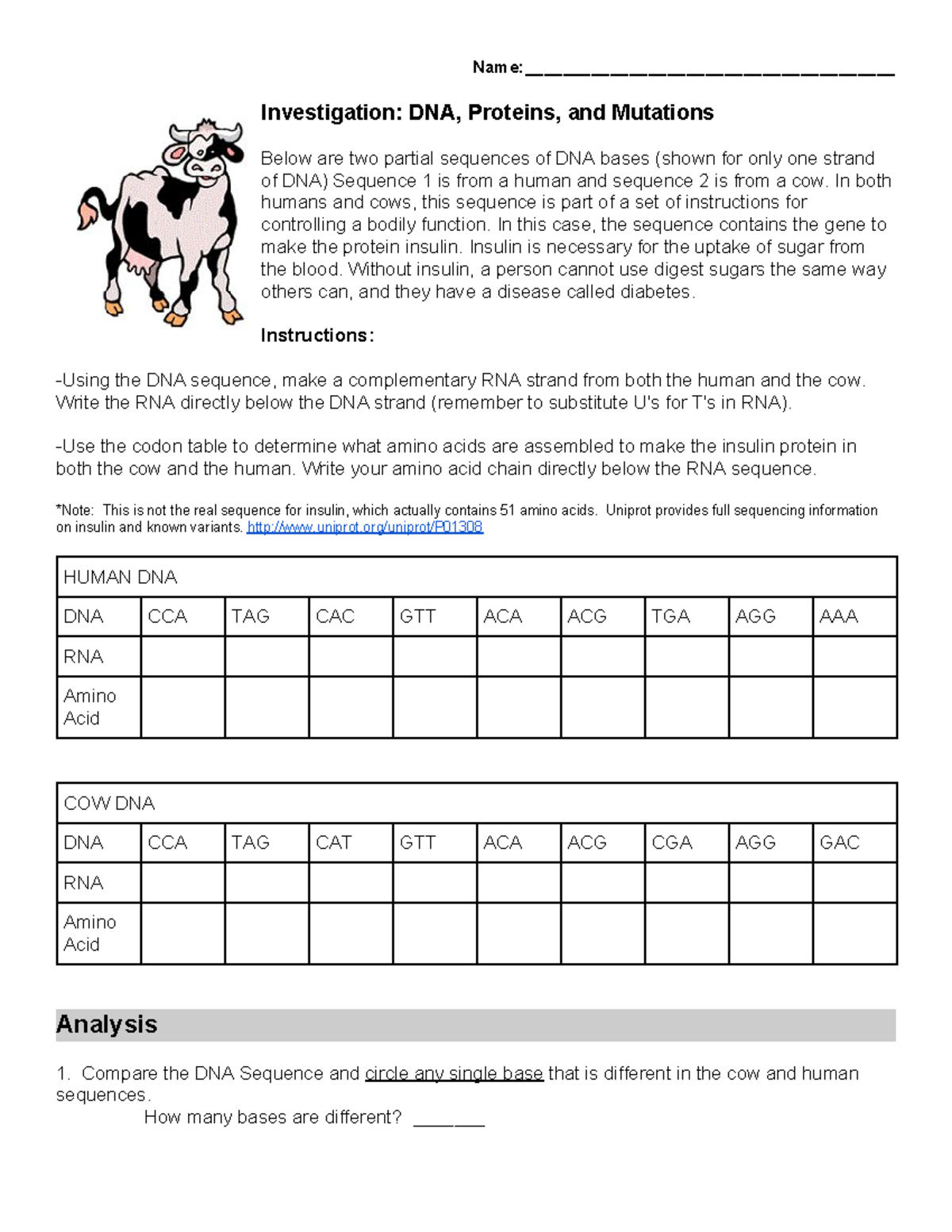 DNA and Mutations - ClassWork - Name ...