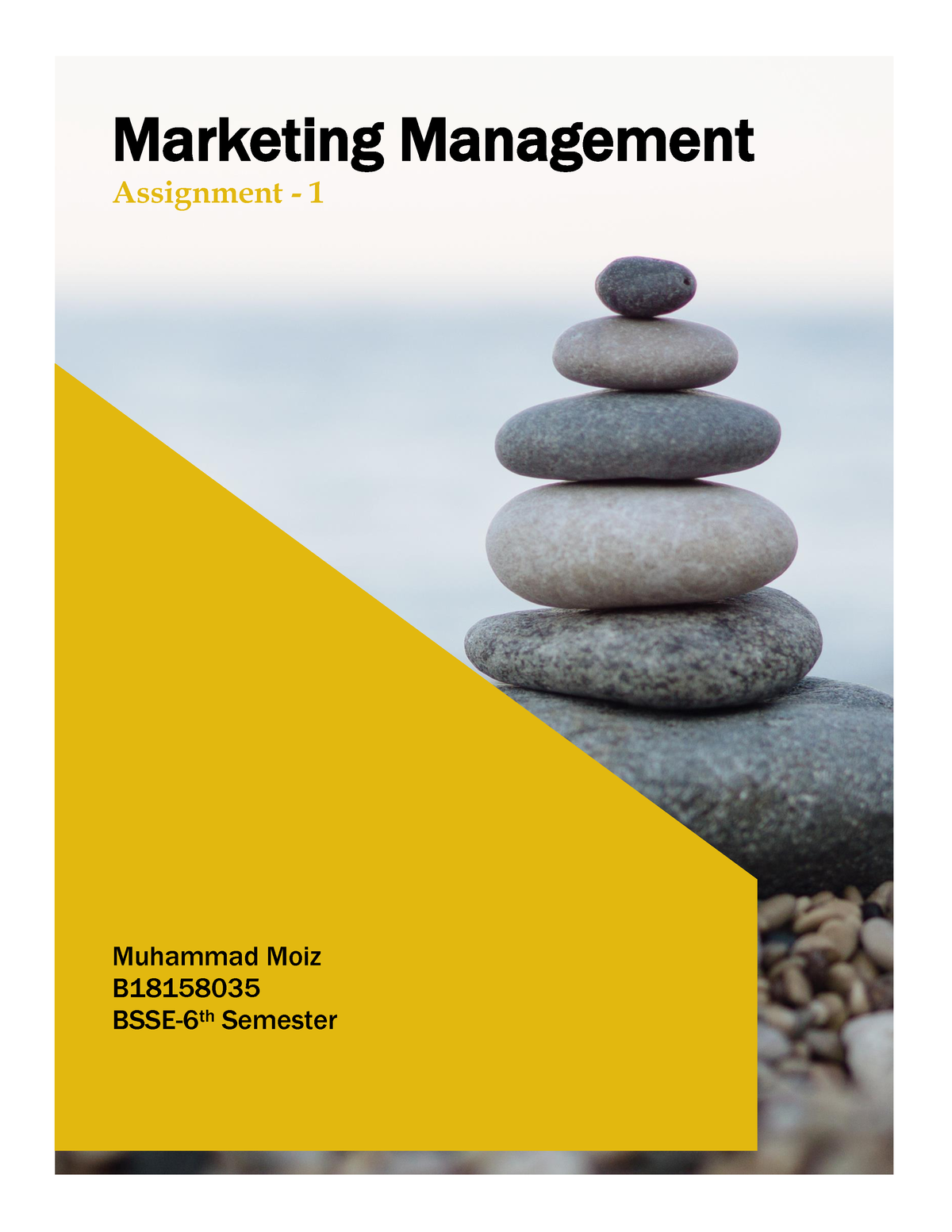 marketing management assignment 1