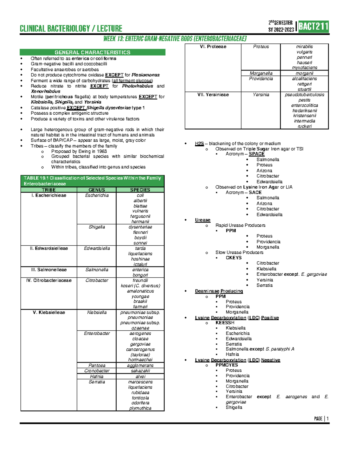 Enterobacteriaceae-3 - GENERAL CHARACTERISTICS Often referred to as ...