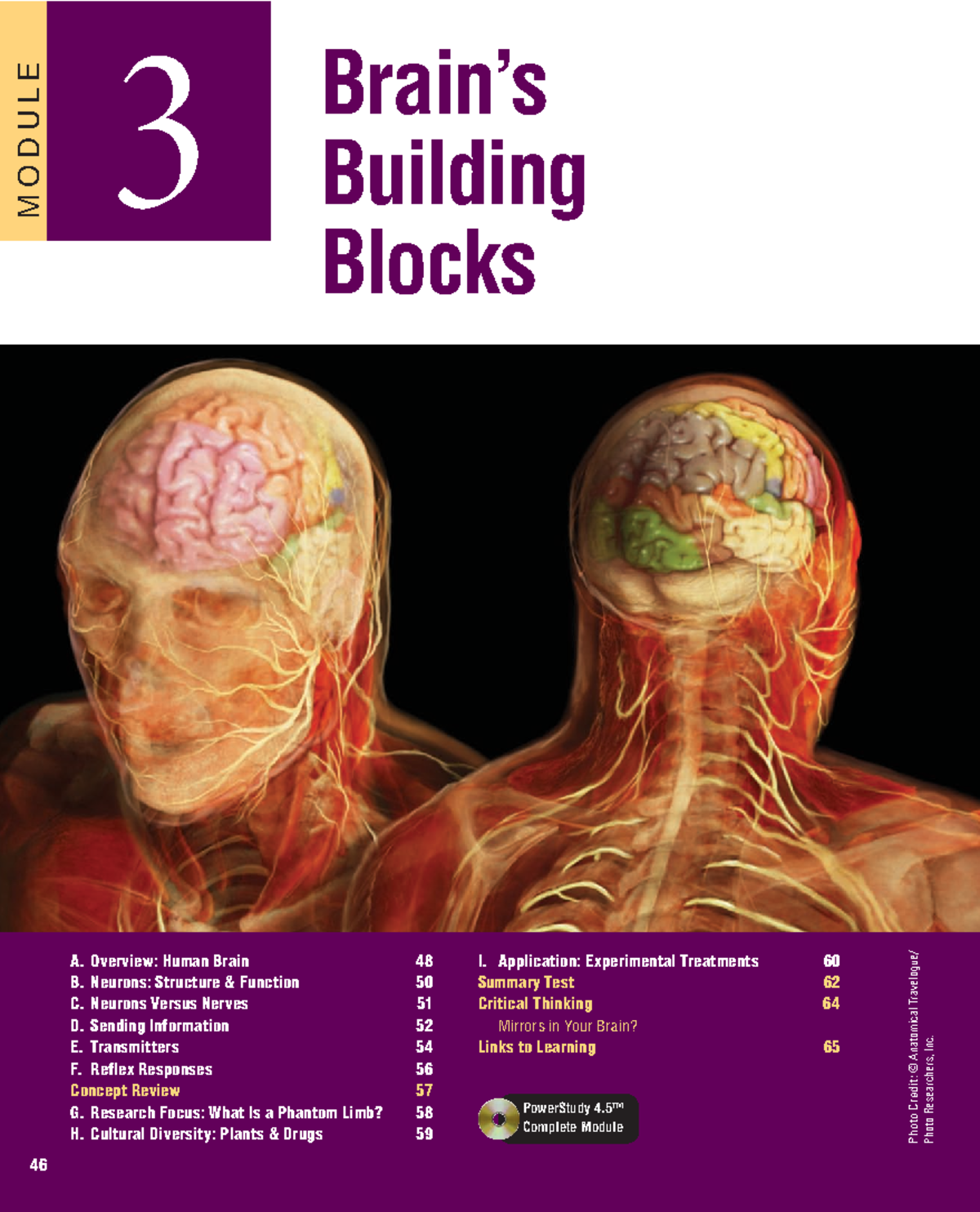 Module 3 Brain's Building Blocks - PowerStudy 4™ Complete Module 46 3 ...