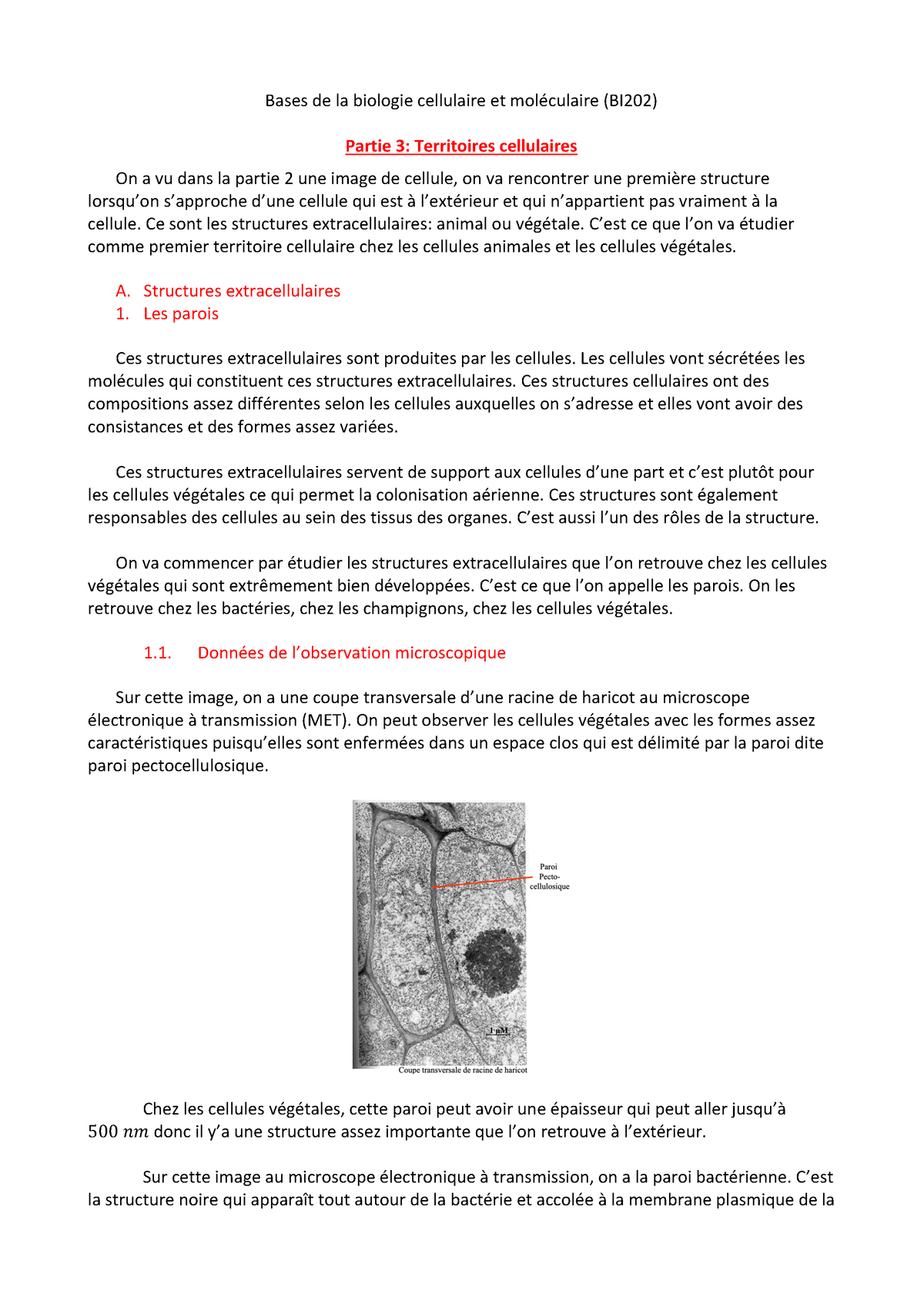 Partie 3 BI202 2 - Chapitre 3 - Bases De La Biologie Cellulaire Et ...