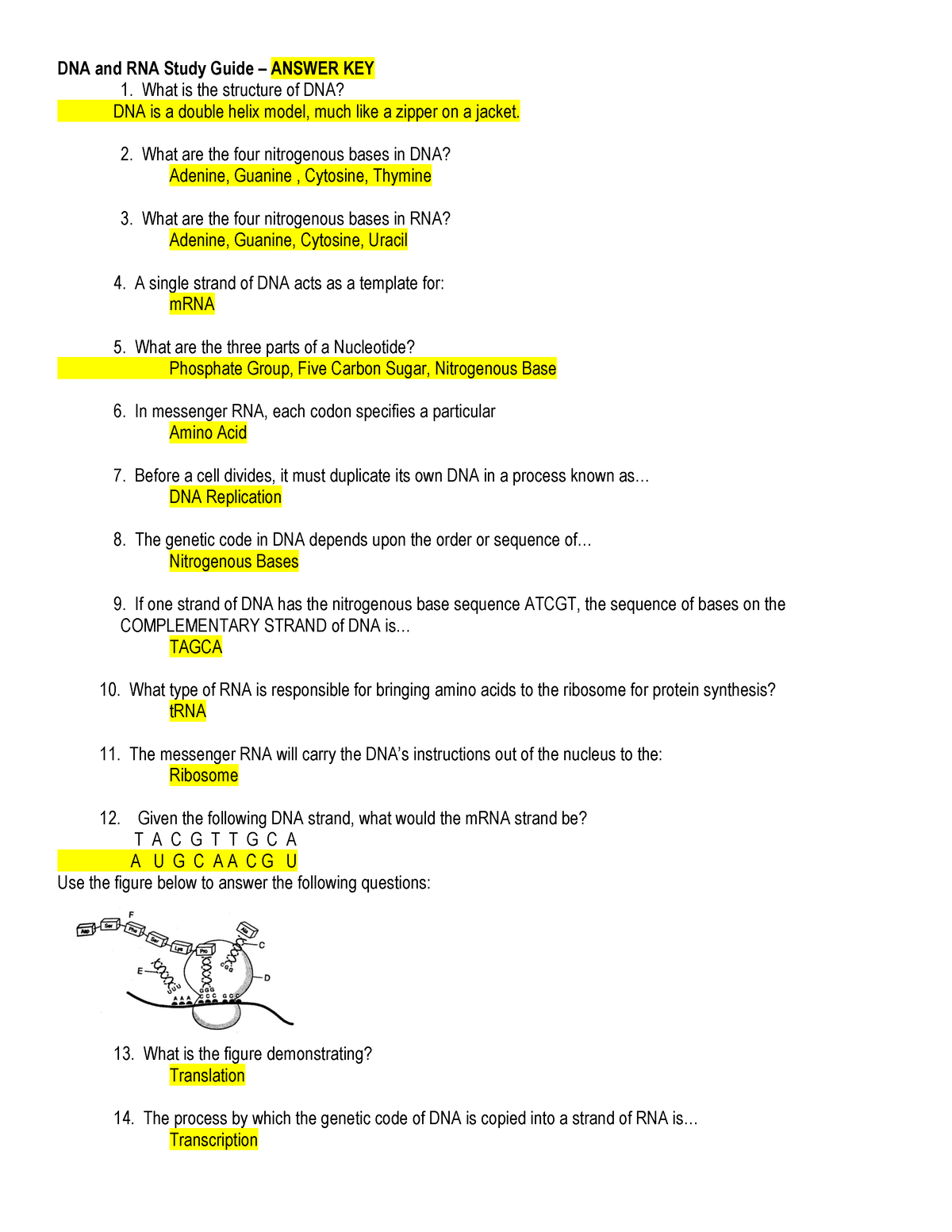 unfriended dna case study answer key