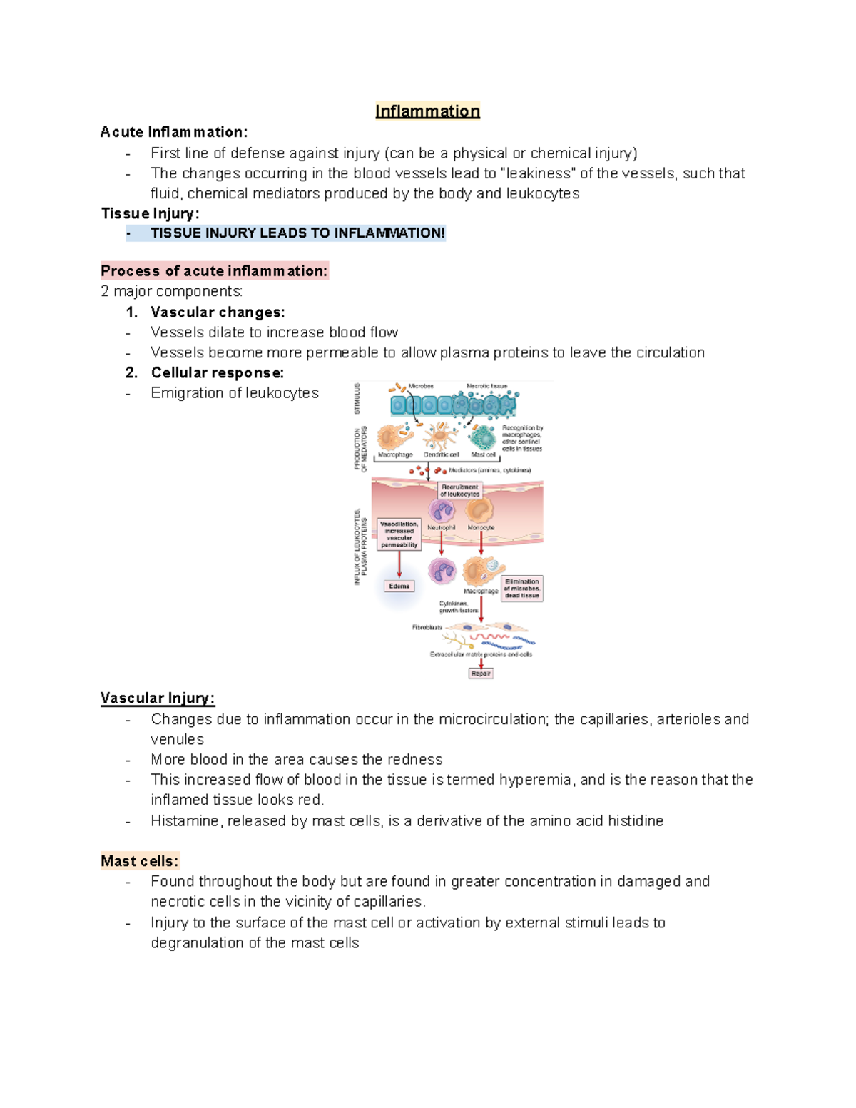 Unit 3 path readings - Inflammation Acute Inflammation: - First line of ...