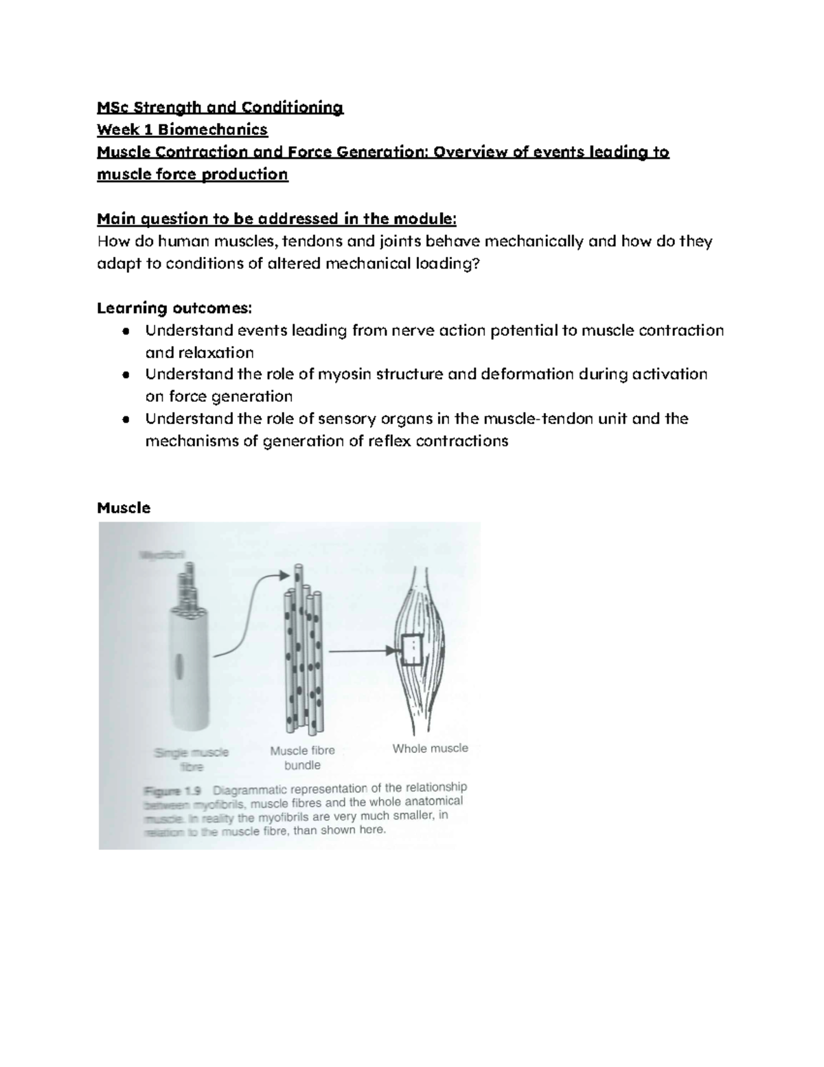 MSc SC Week 1 Biomechanics MSc Strength and Conditioning Week 1
