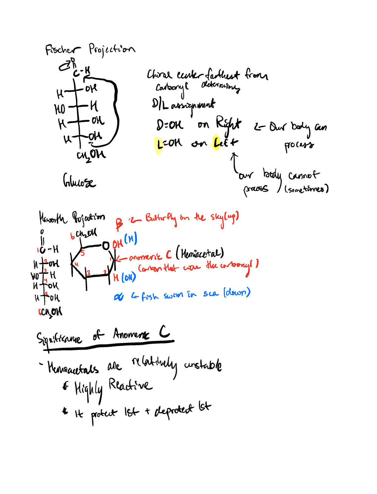 Sugars And Amino Acids - CHEM 2520 - Studocu