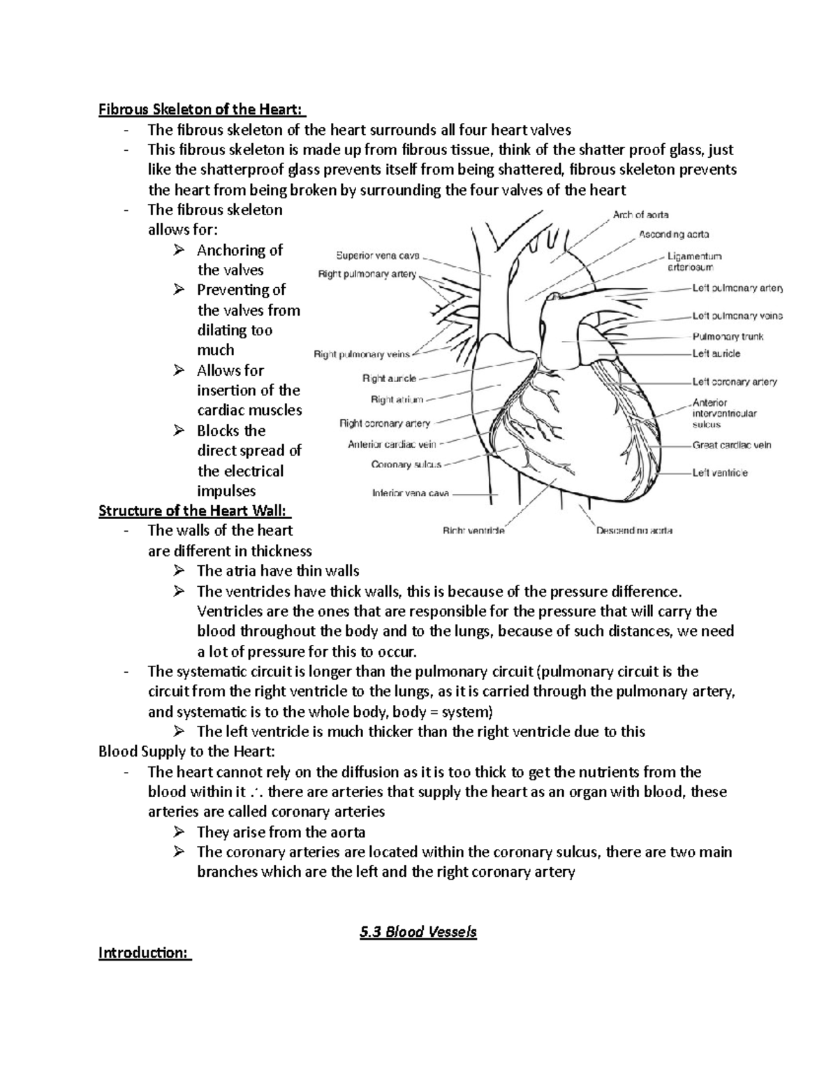 BIOL 301 - unit 5 review 1 - circulatory system - Fibrous Skeleton of ...