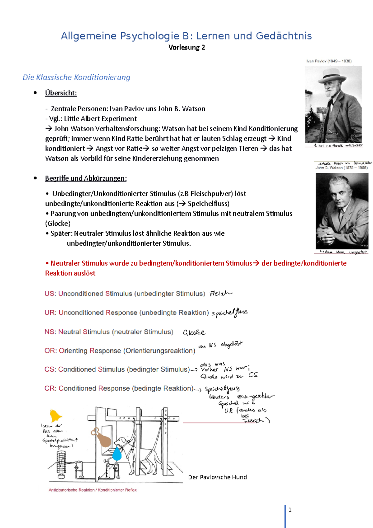 Allgemeine Psychologie B VL 3 Zusammenfassung - Allgemeine Psychologie ...