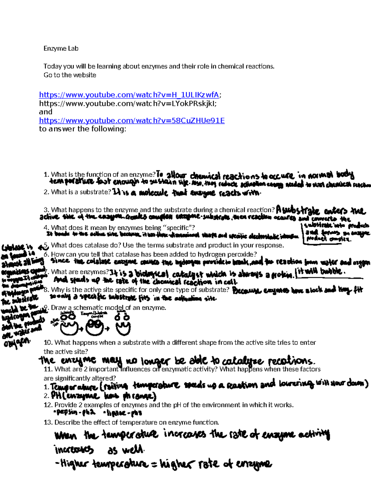 Enzyme Lab5 Tagged 2 Lab Enzyme Lab Today you will be learning about enzymes and their