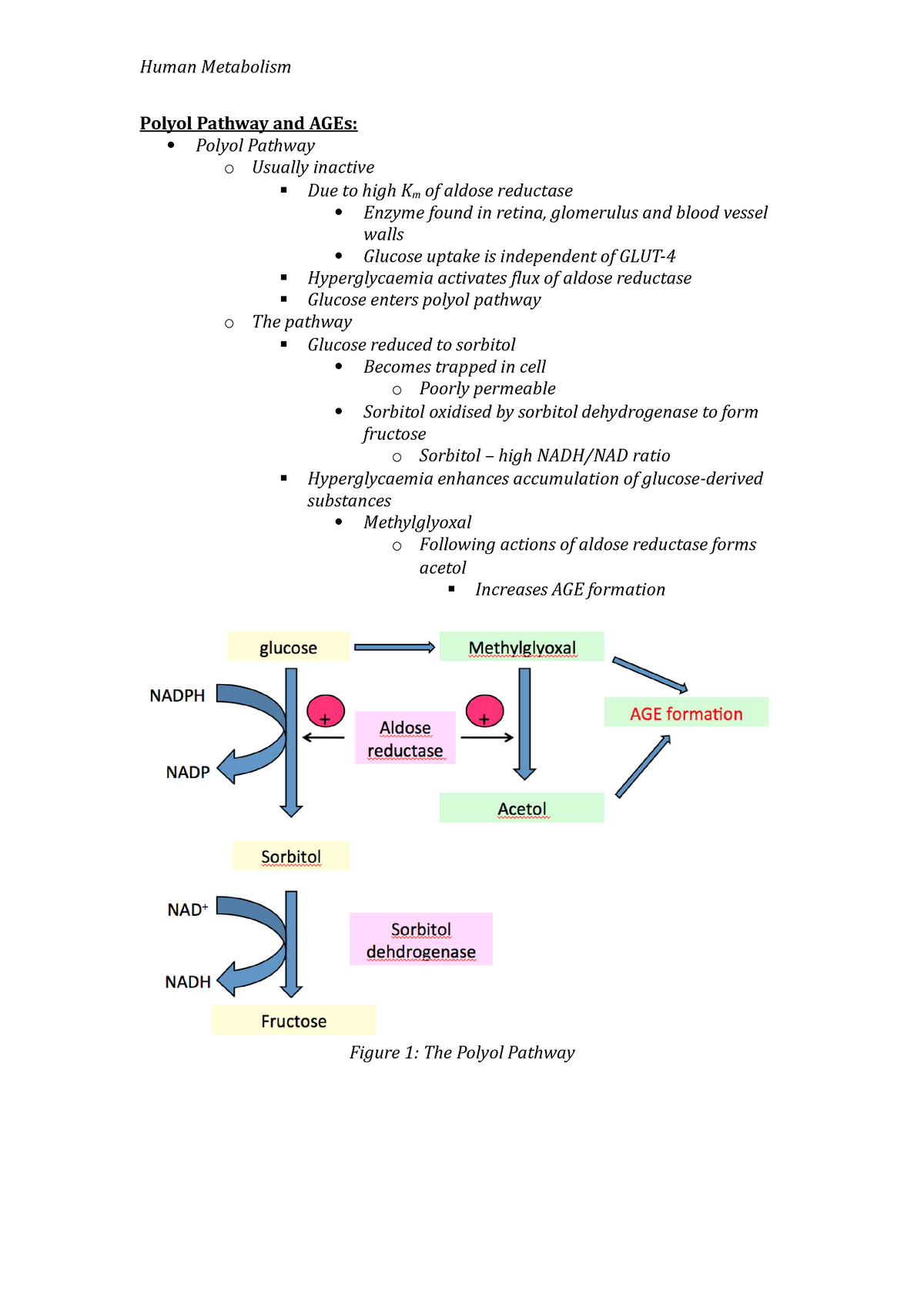 sorbitol pathway