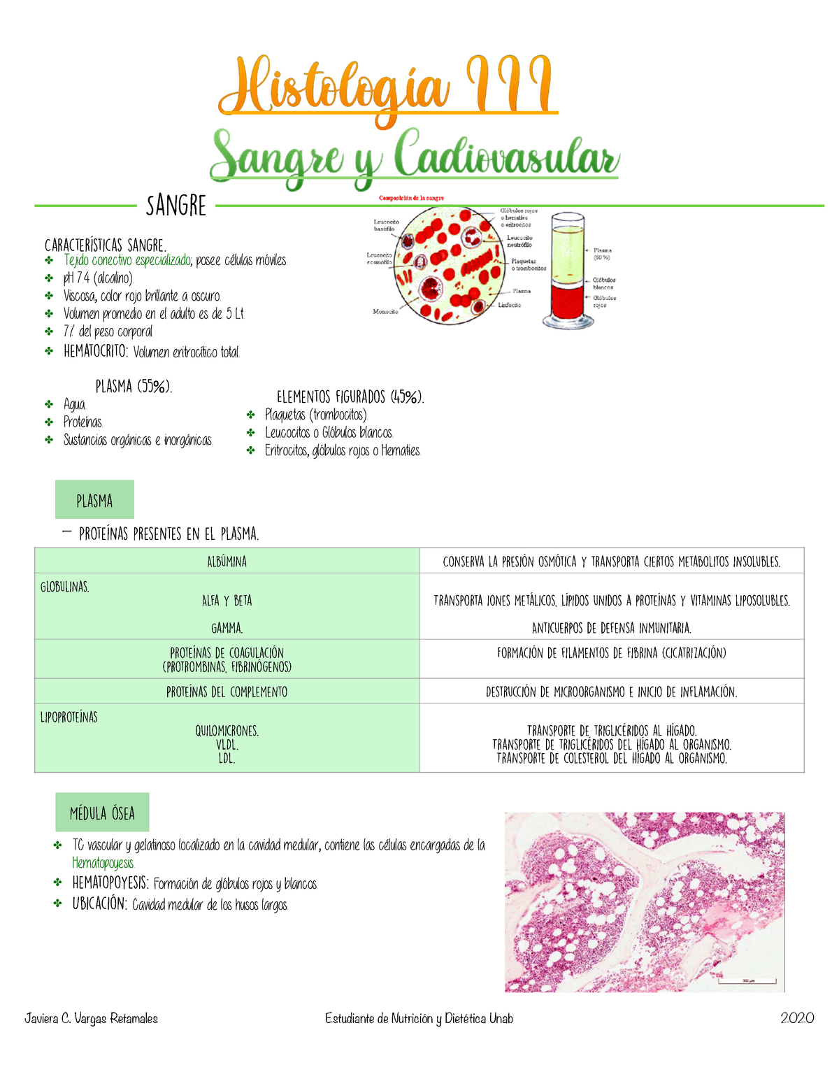 histología de fibrina