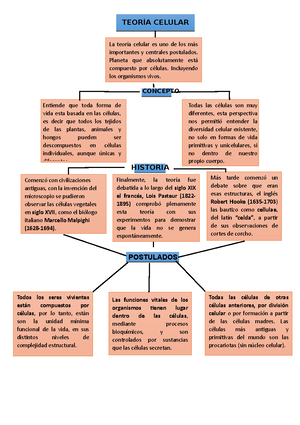 Solved Cules Son Las Etapas Del Ciclo De Calvin Y Sus Factores