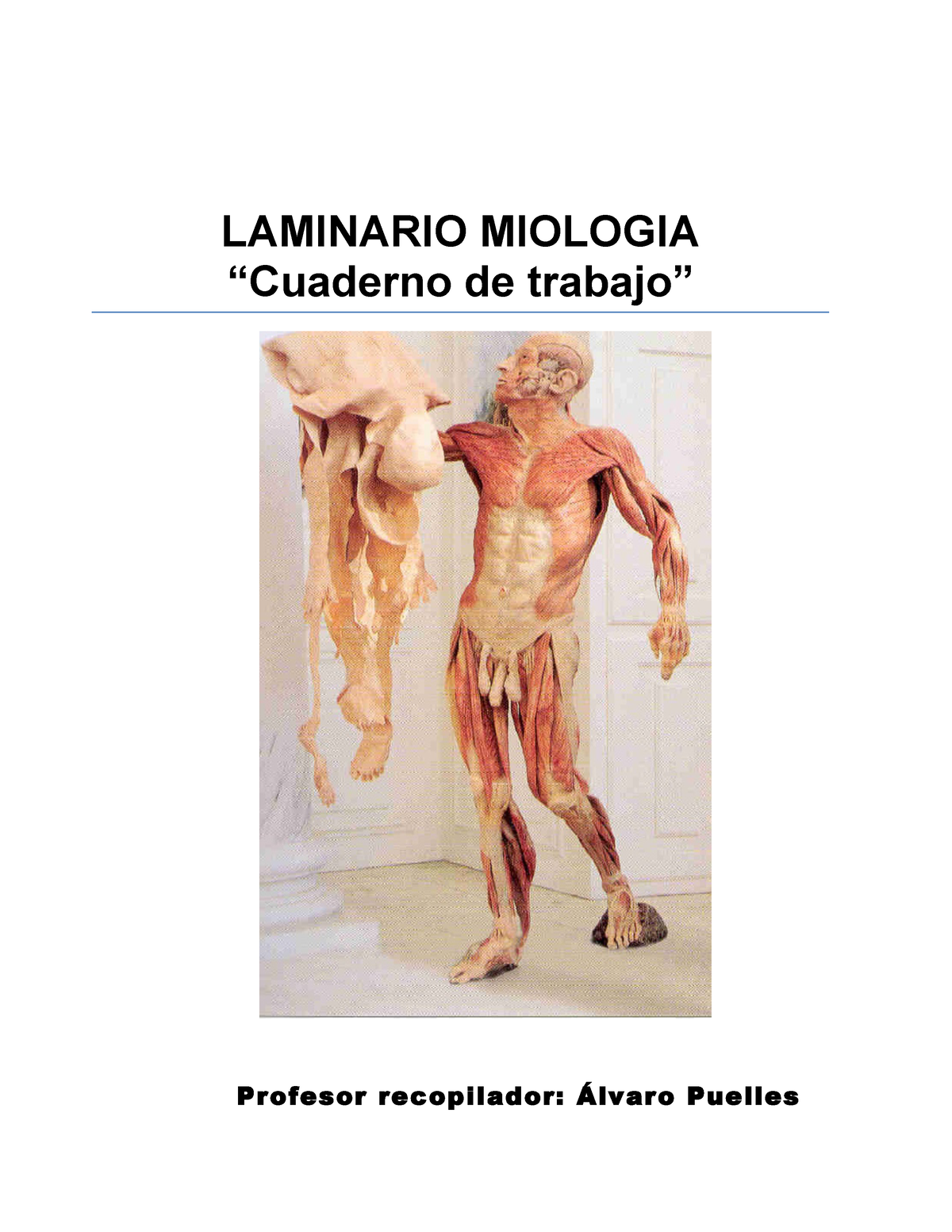 Manual Anatomia Musculoscorregido 2 Laminario Miologia “cuaderno De Trabajo” Profesor 2260