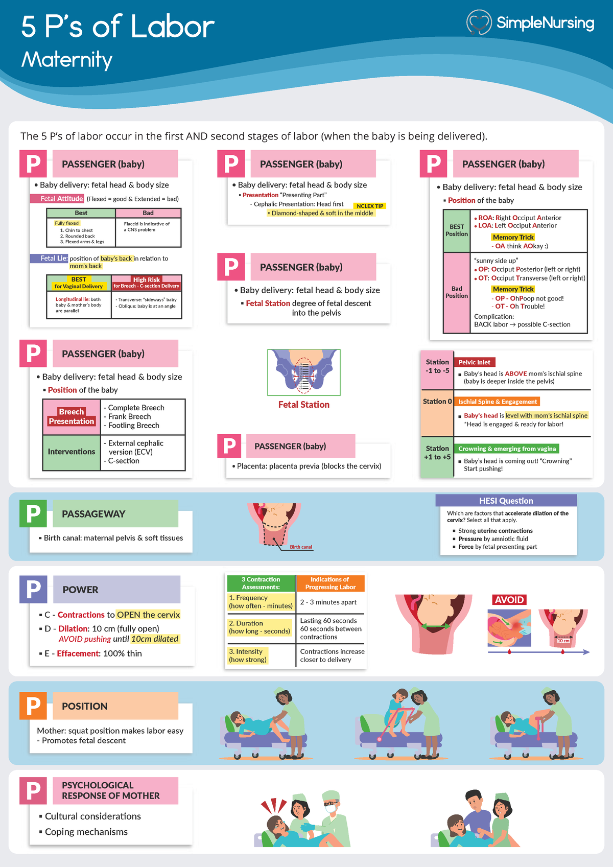 5 Ps of labor - 5 P’s of Labor Maternity The 5 P’s of labor occur in ...