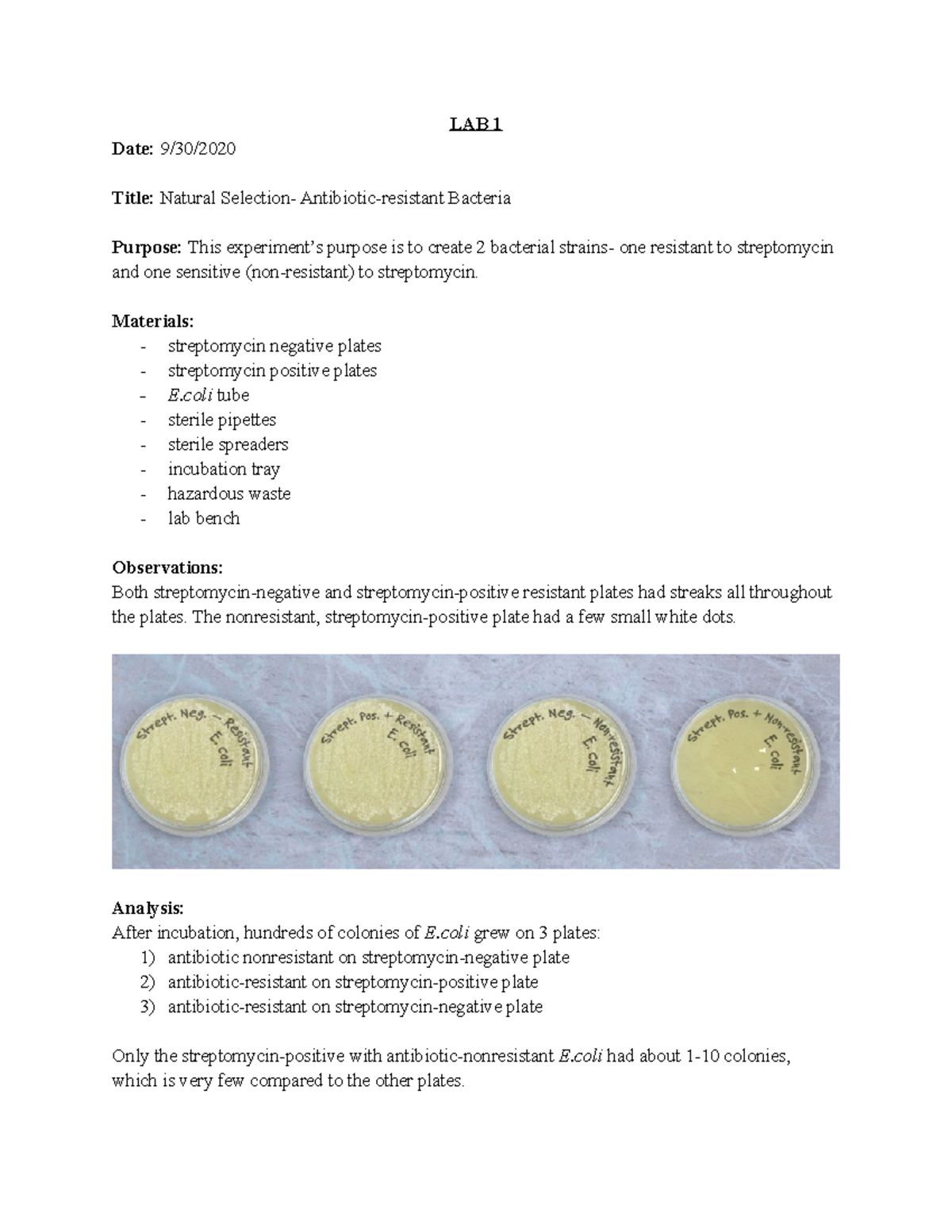 natural-selection-antibiotic-resistant-bacteria-lab-1-date-9-30