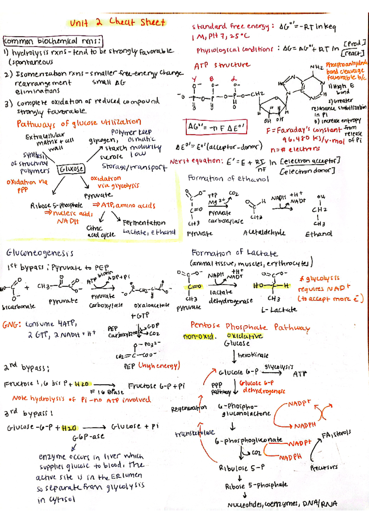 MCB 102 - Unit 2 Exam Cheat Sheet - MCB 102 - Studocu