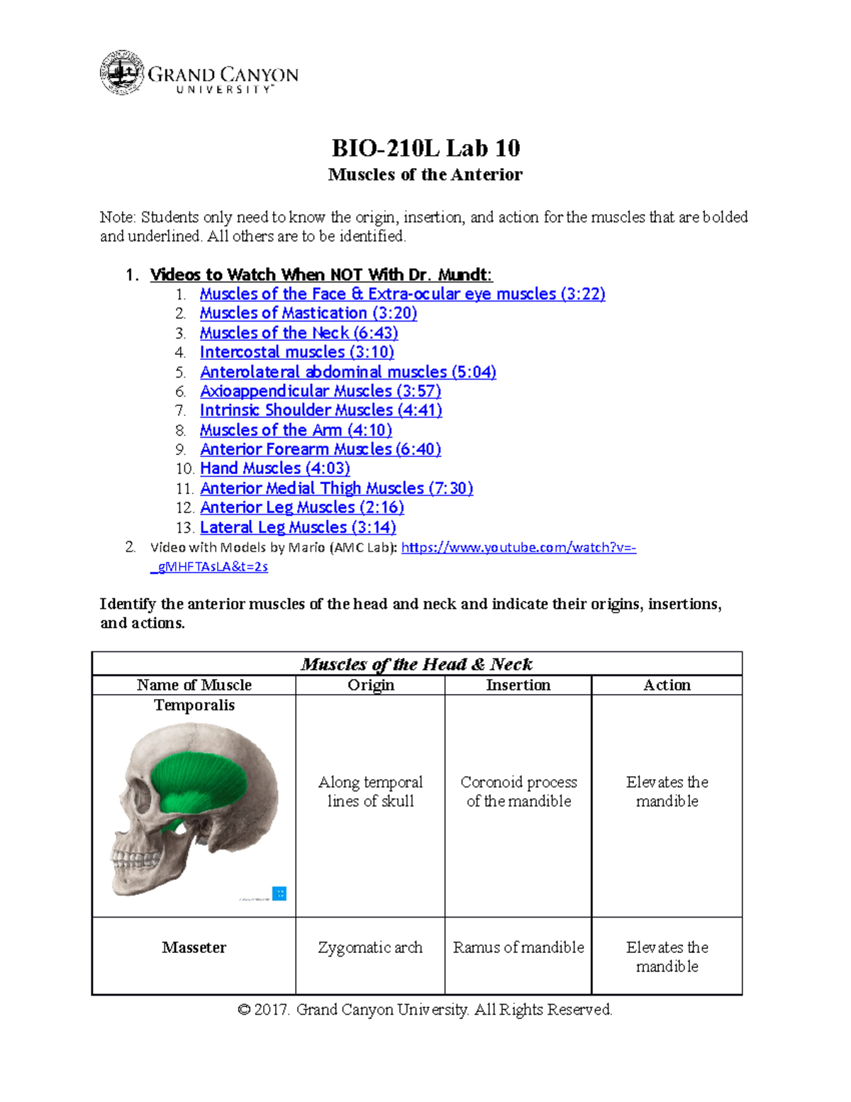 BIO-210L-Lab10 (Muscles of the Anterior) - BIO-210L Lab 10 Muscles of ...
