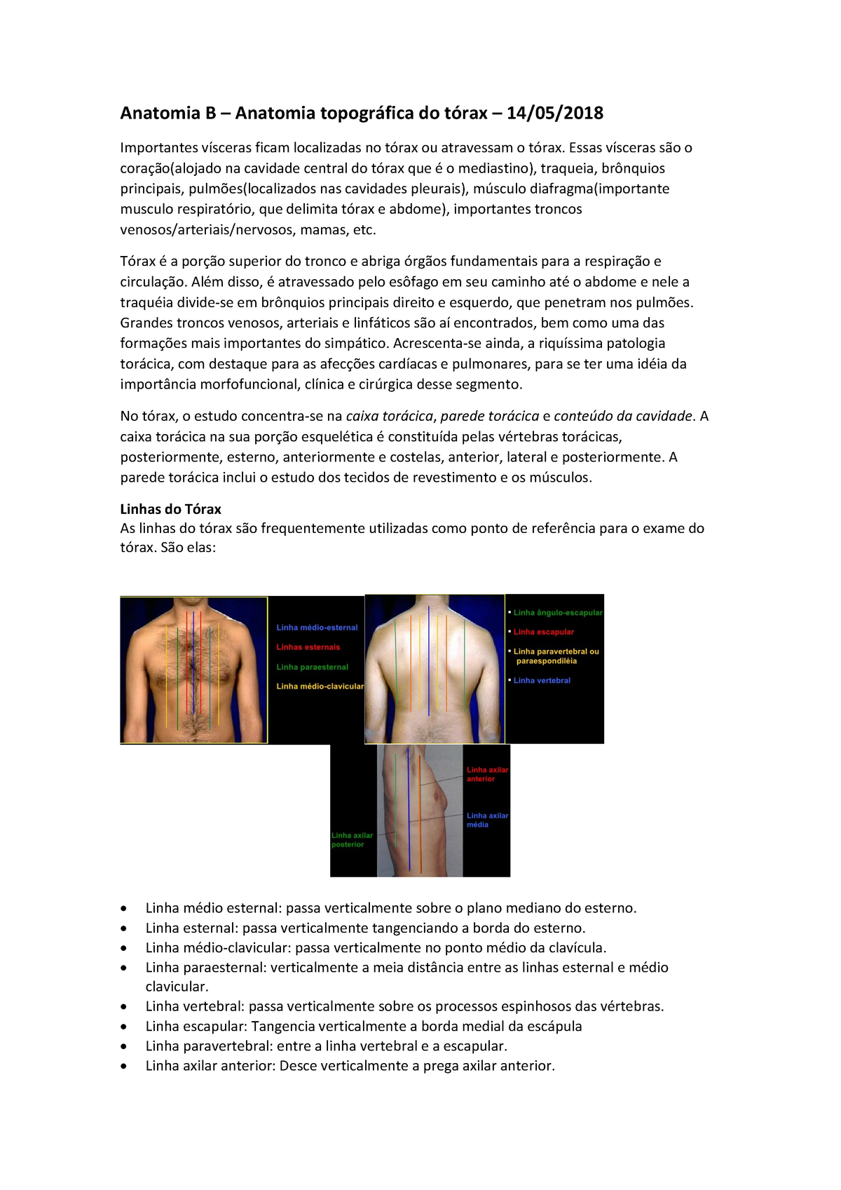 Anatomia B - Aula 9 - Topografia Do Tórax - StuDocu