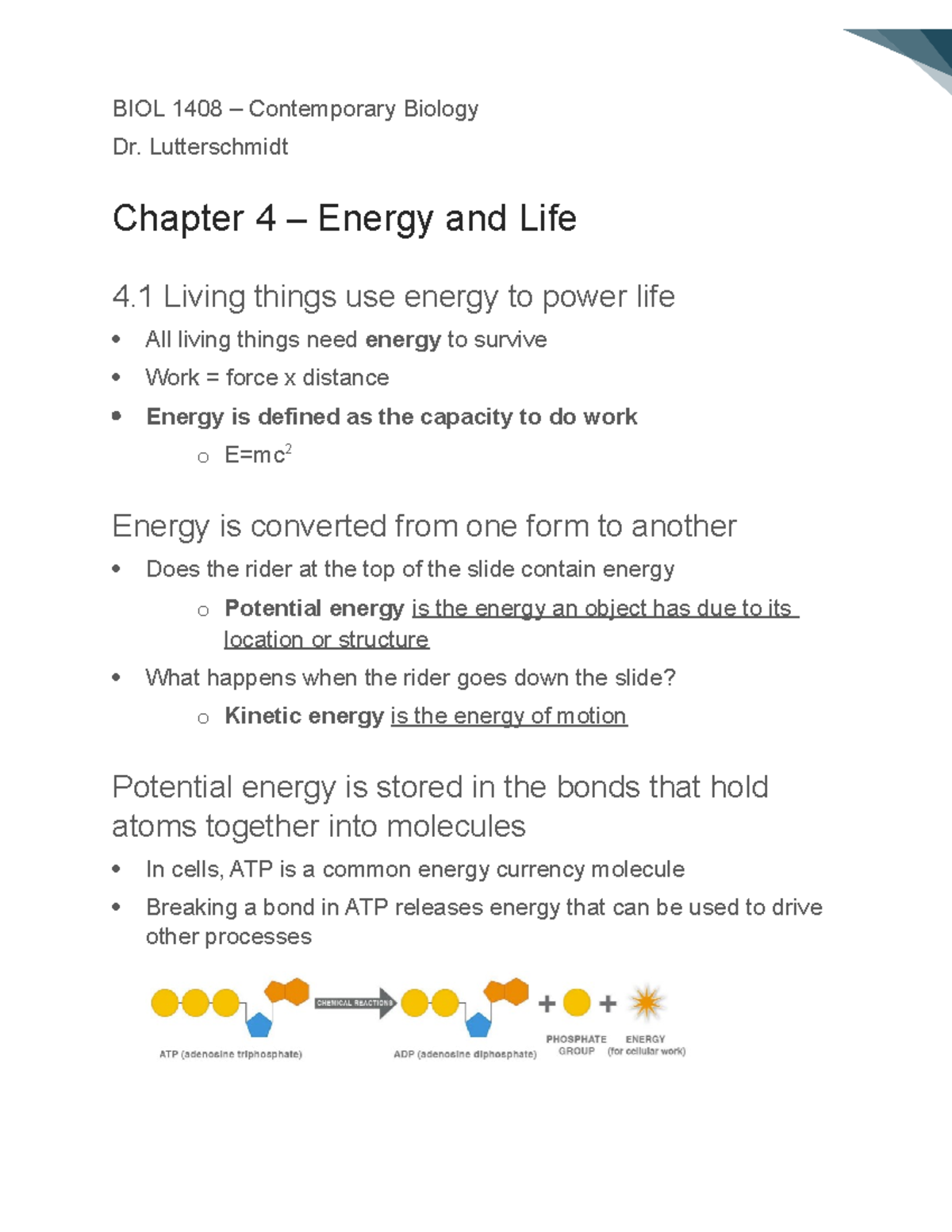 energy and life essay