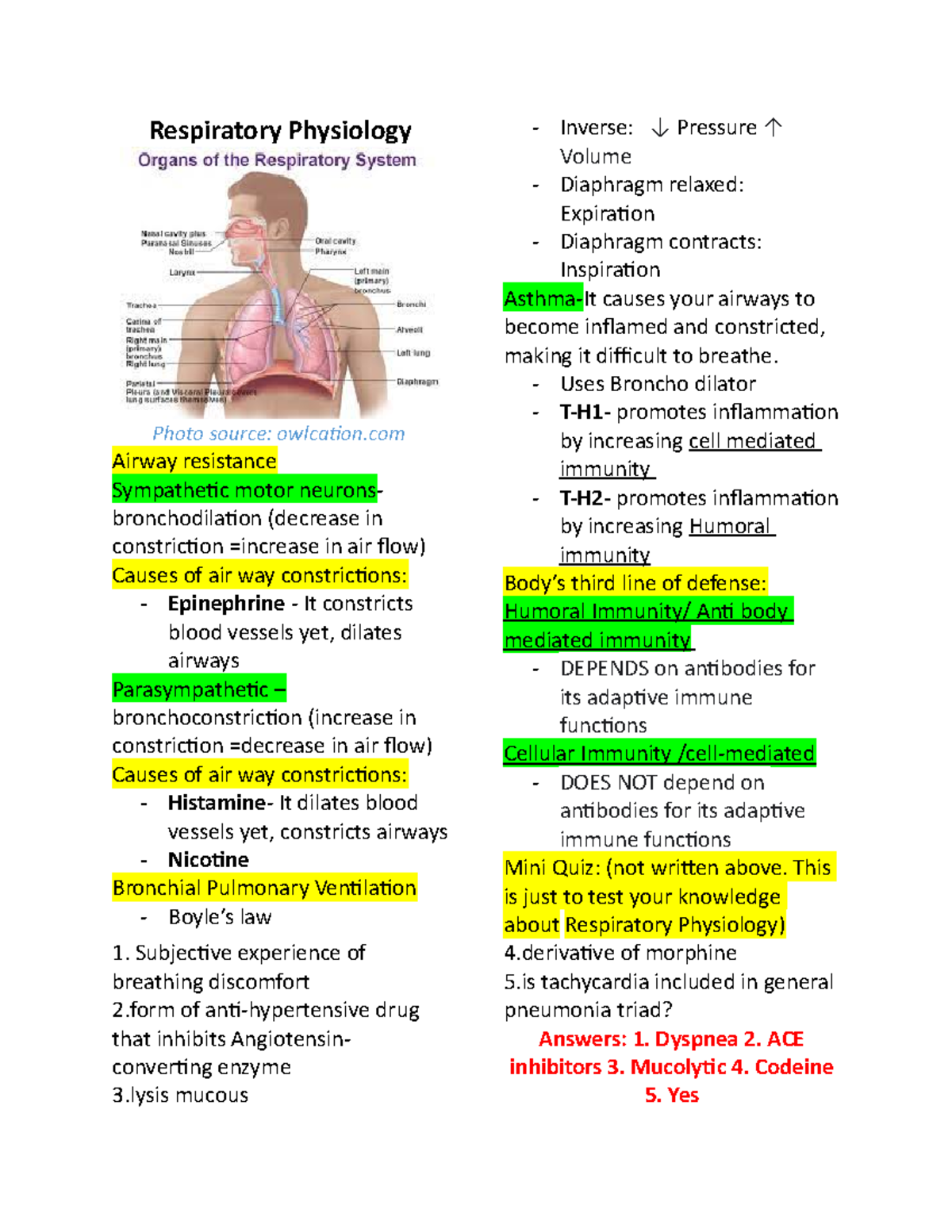 Pathophysiology - Respiratory Physiology Photo source: owlcation Airway ...