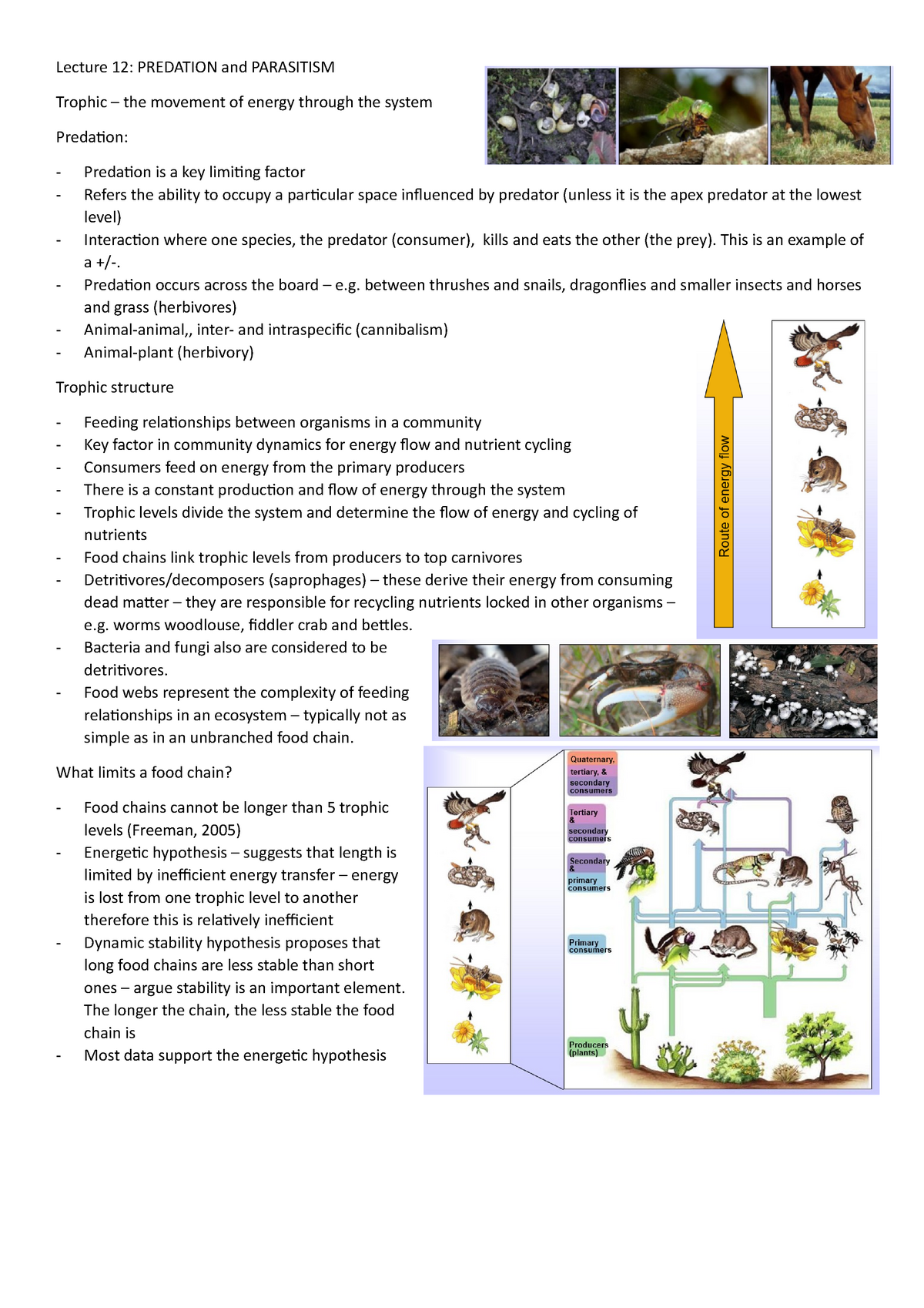 Lecture 12 notes - Scott Elias - Lecture 12: PREDATION and PARASITISM ...