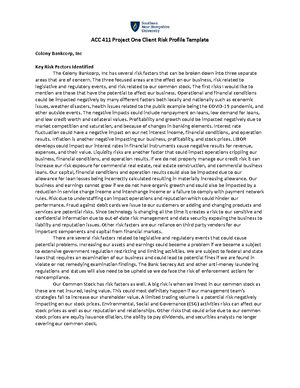 ACC 411 Project Three Internal Control Audit Report - (the Company ...