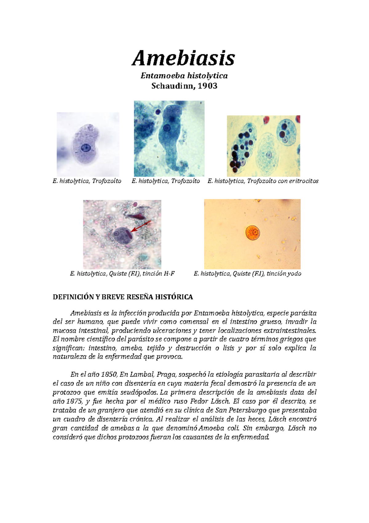 Amebiasis Corregido - Amebiasis Entamoeba Histolytica Schaudinn, 1903 E ...