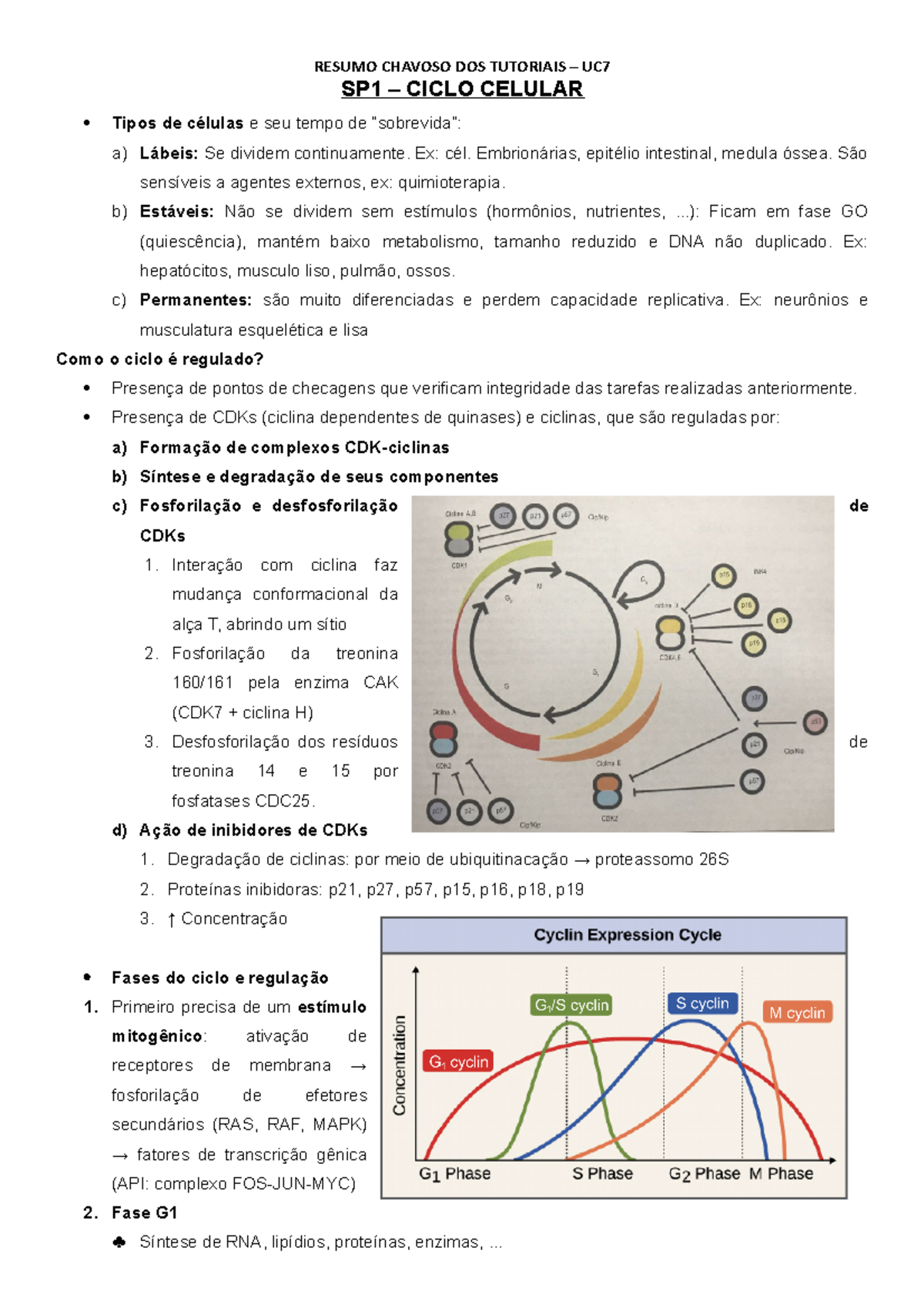 Resumo De Oncologia - SP1 – CICLO CELULAR Tipos De Células E Seu Tempo ...