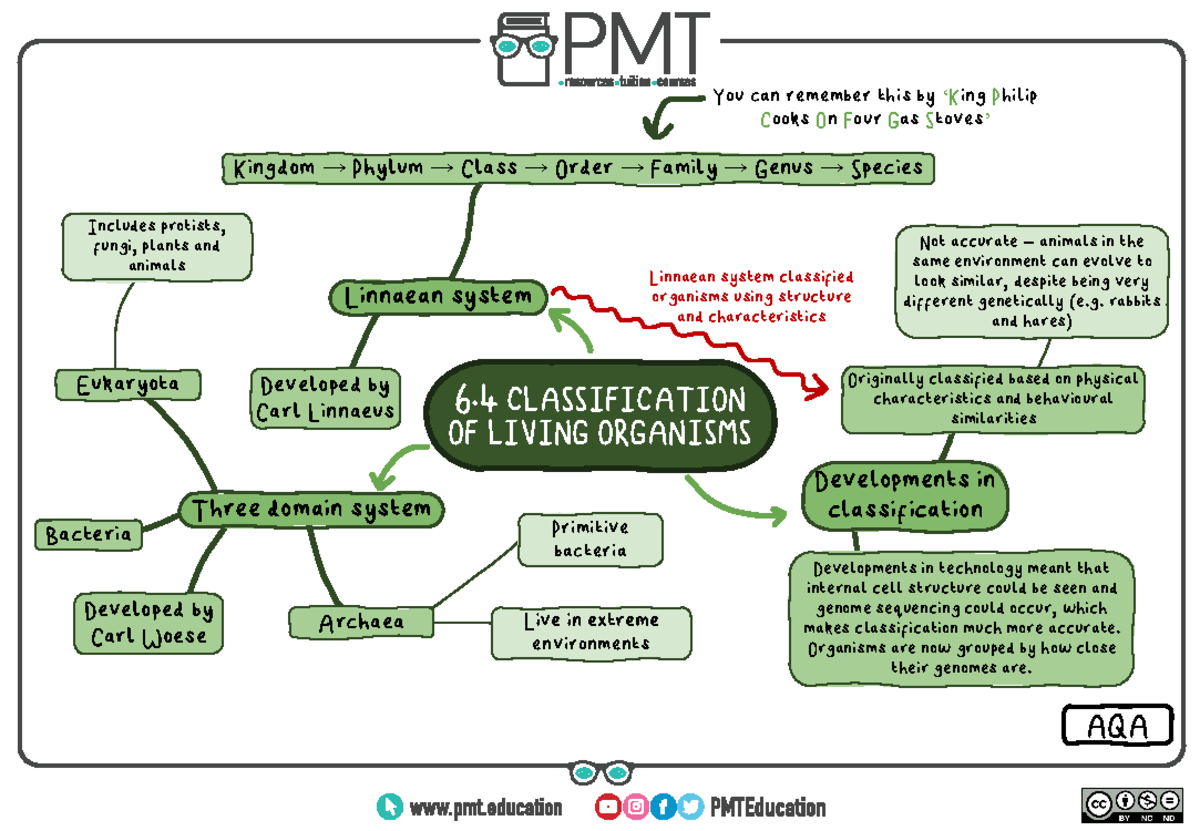 Mind Map 6 - mind map - 6 CLASSIFICATION OF LIVING ORGANISMS Linnaean ...