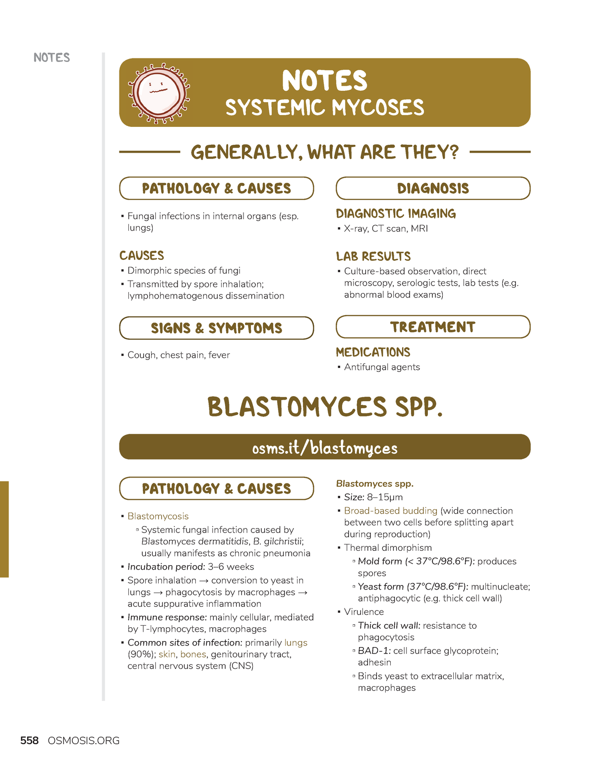 Systemic Mycoses - microbiology of organisms - NOTES NOTES SYSTEMIC ...