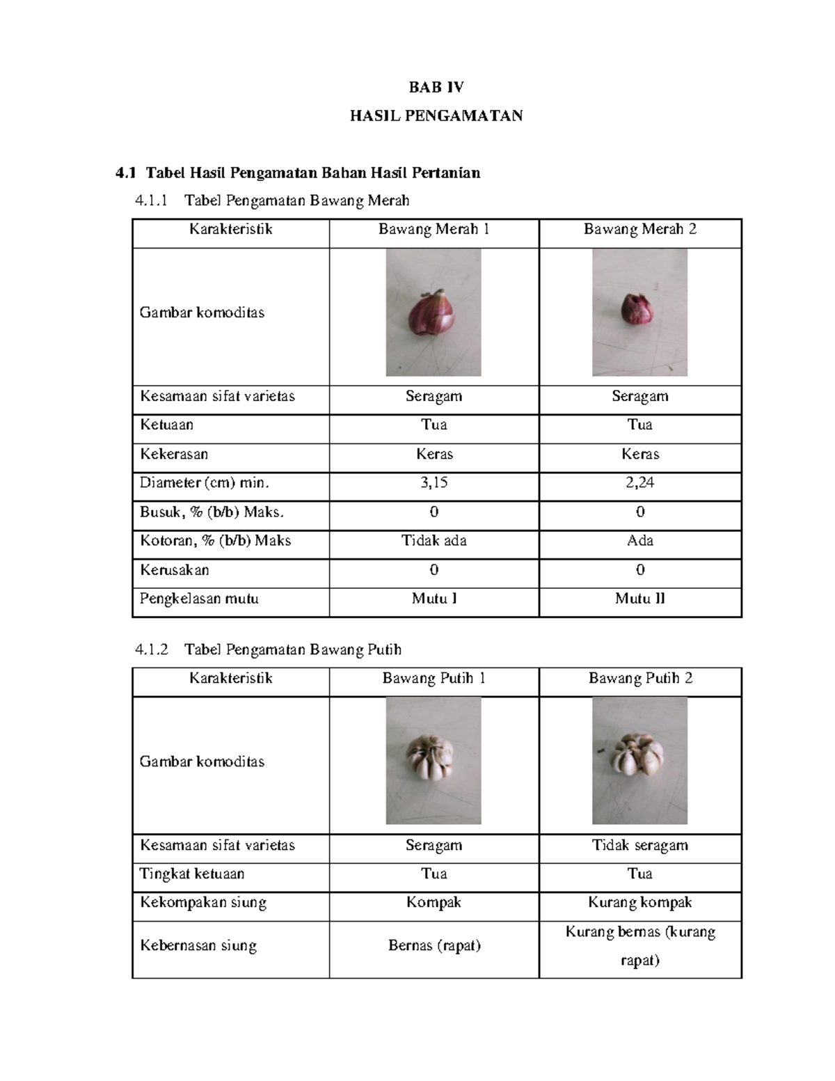Bawang Merah - BAB IV HASIL PENGAMATAN 4 Tabel Hasil Pengamatan Bahan