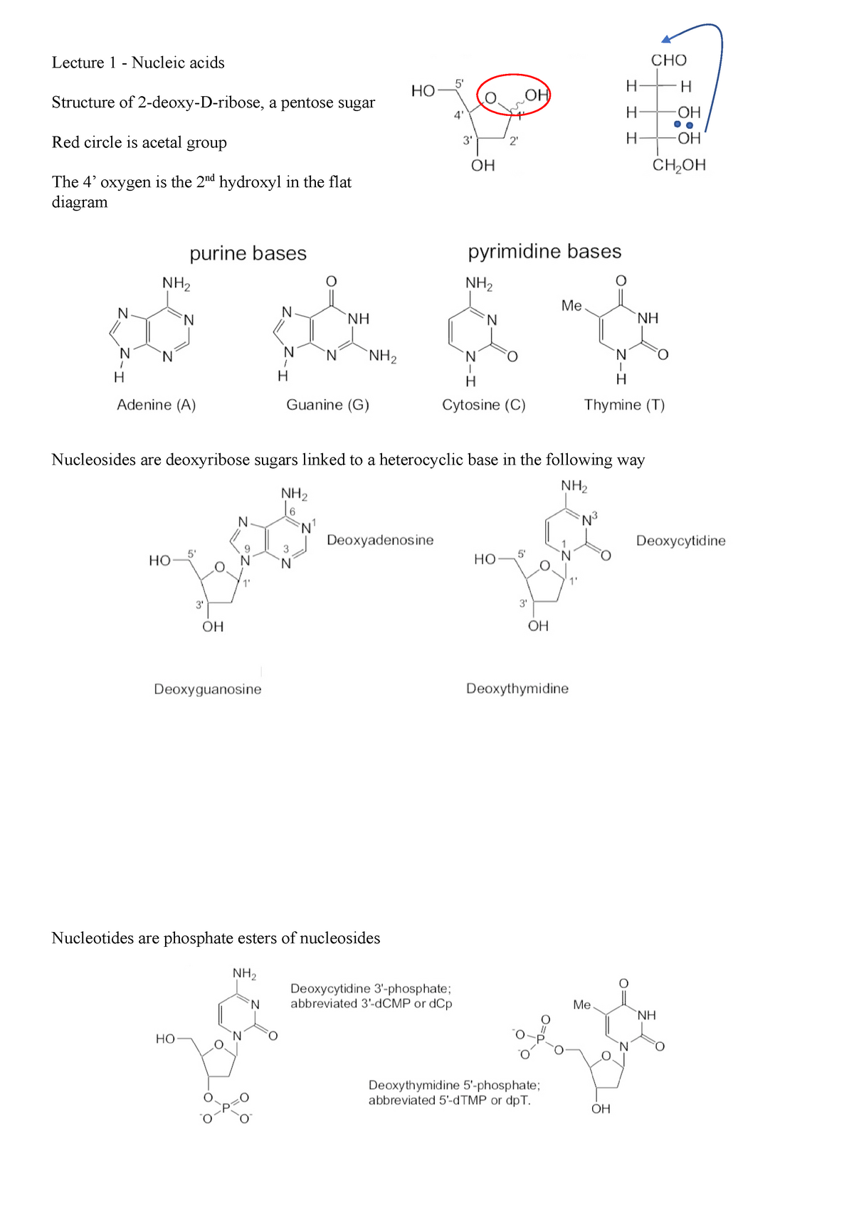 chem0023-lecture-notes-1-5-lecture-1-nucleic-acids-structure-of-2