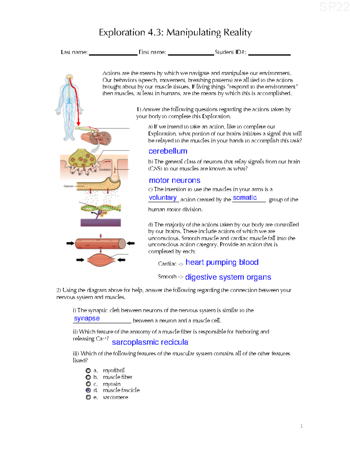 Exploration 4.3) - assignment - Exploration 4. 3 : Manipulating Reality ...
