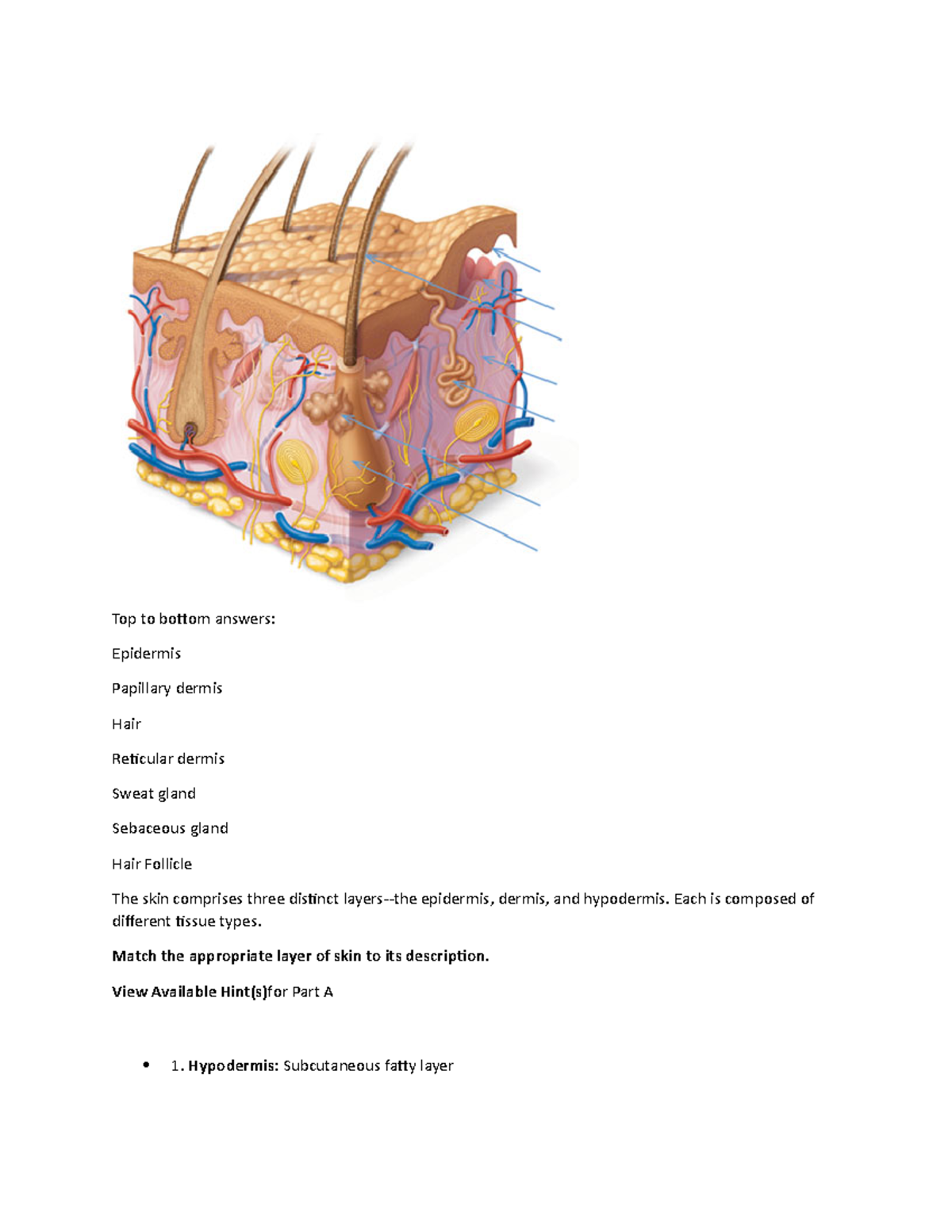 2-1 Mastering A&p Lab Module Two Homework - Top To Bottom Answers 