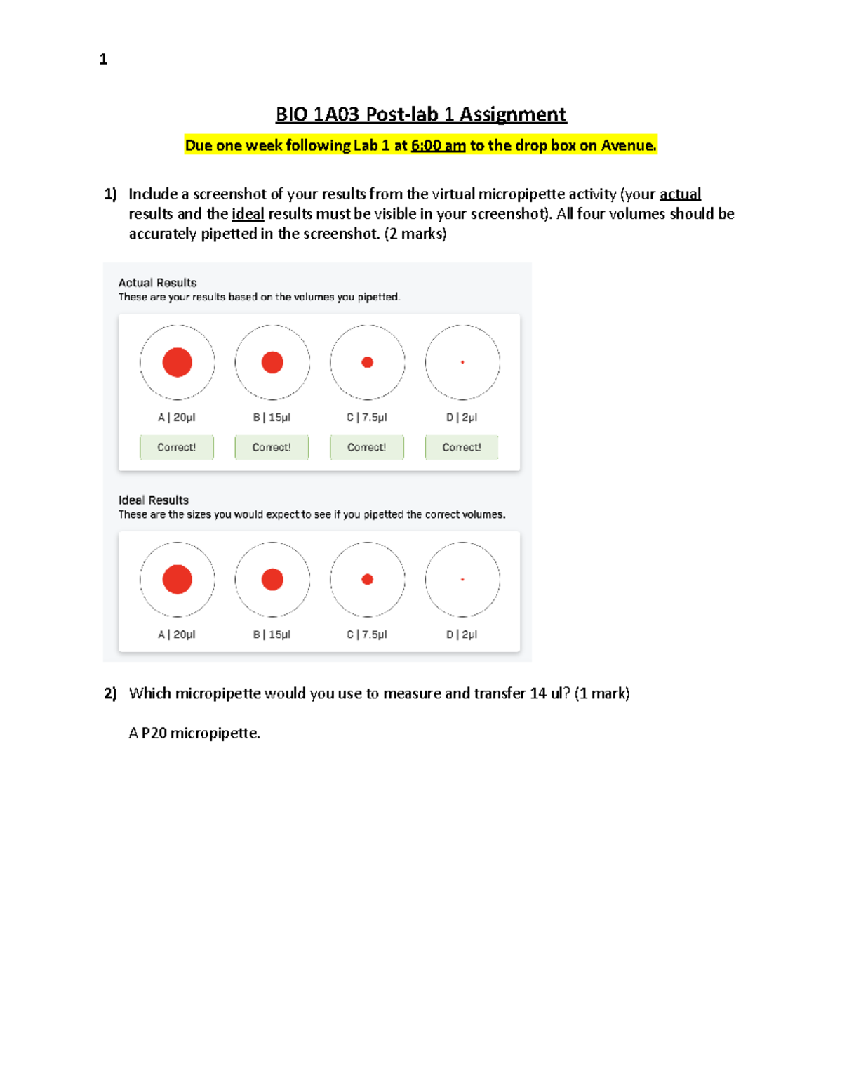 Bio Post-lab 1 Assignment F2022 - BIO 1A03 Post-lab 1 Assignment Due ...