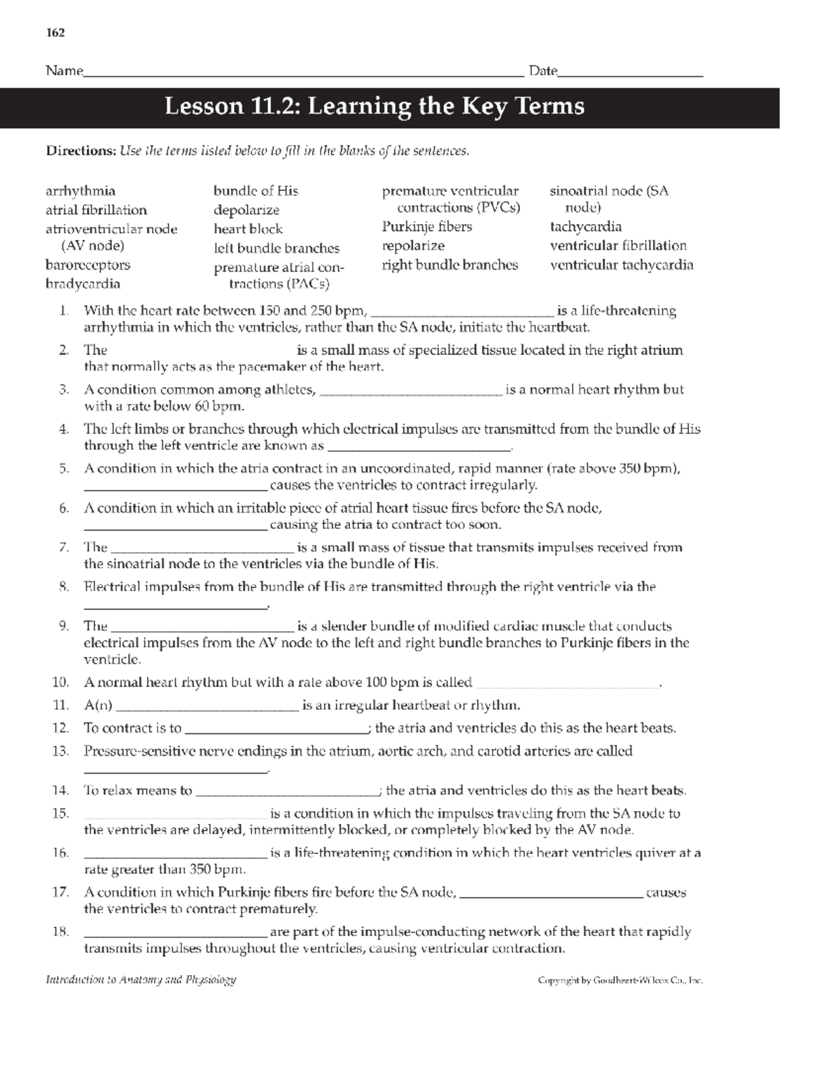 printable-introduction-to-anatomy-and-physiology-student-workbook-and-lab-manual-page-162-studocu