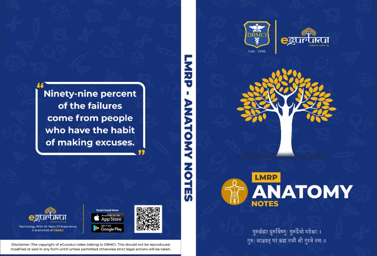 Binder 1 Anatomy quotes Dental Medicine Studocu