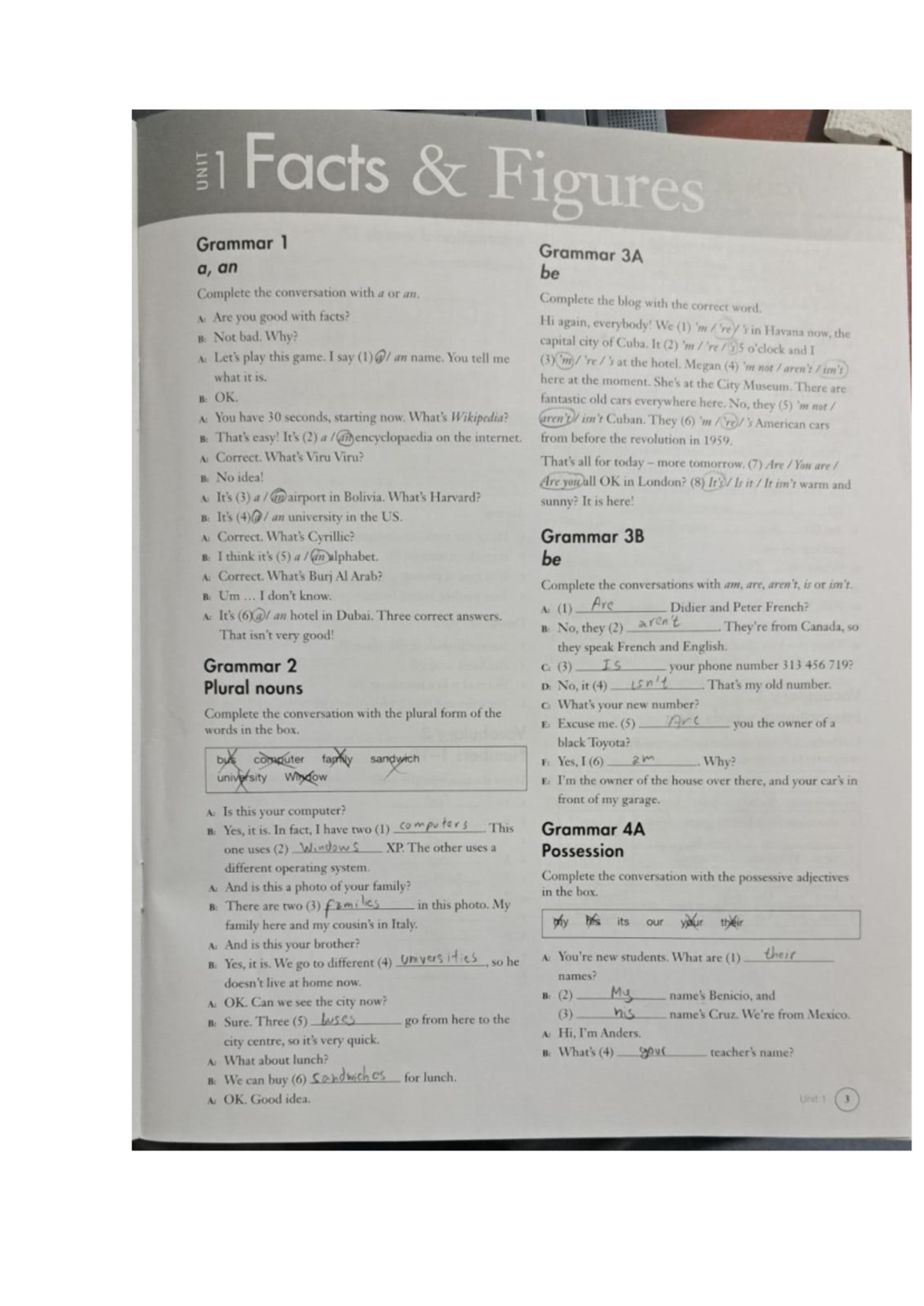 Workbook - 1 - Facts Figures Grammar 1 Grammar 3A a, an be Complete the ...