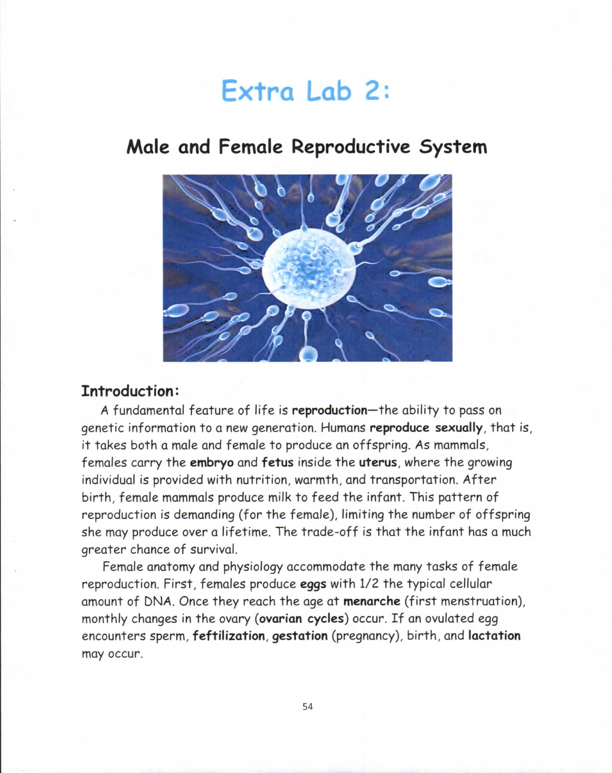 reproductive system lab assignment