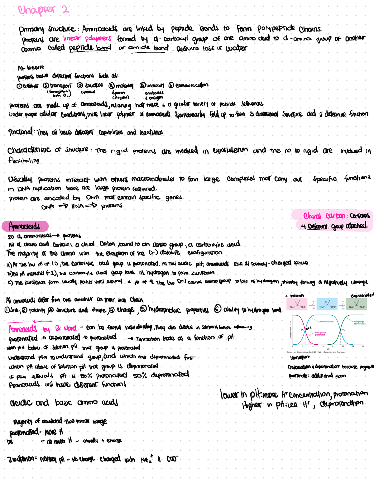 Biochemistry Chapter 2 Notes- Dr Mora 2020 - ####### Chapter 2 ...