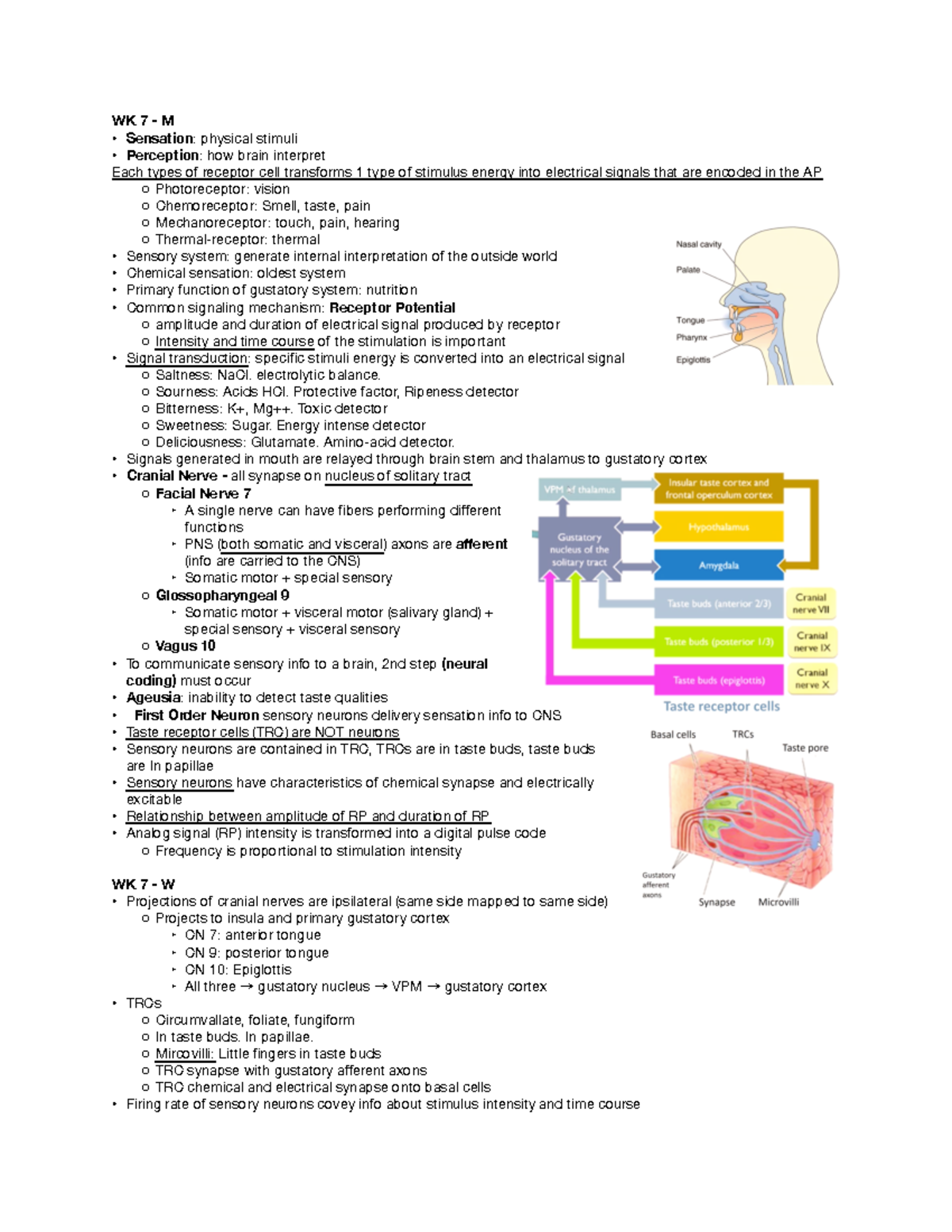 107a Final Review - Summary Neuroanatomy And Physiology - WK 7 - M ...