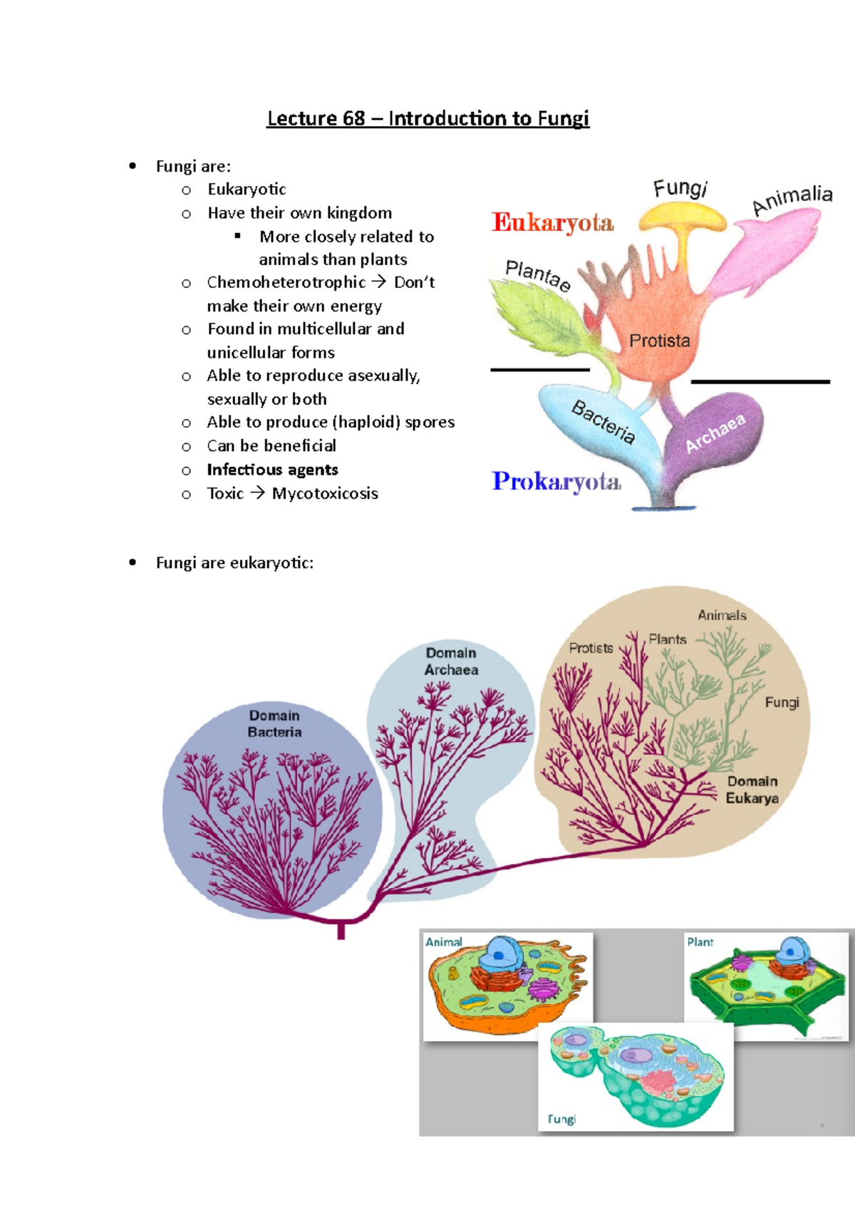 Lecture 68 – Introduction To Fungi - Lecture 68 – Introduction To Fungi ...