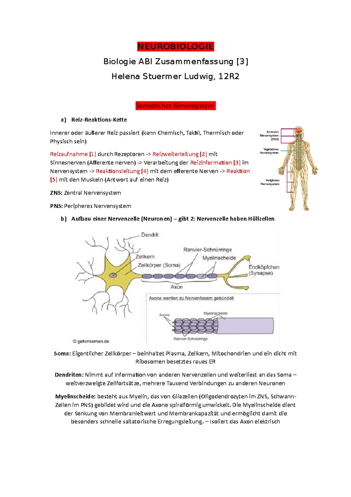 Biologie Neurobiologie Zusammenfassung - NEUROBIOLOGIE Biologie ABI ...