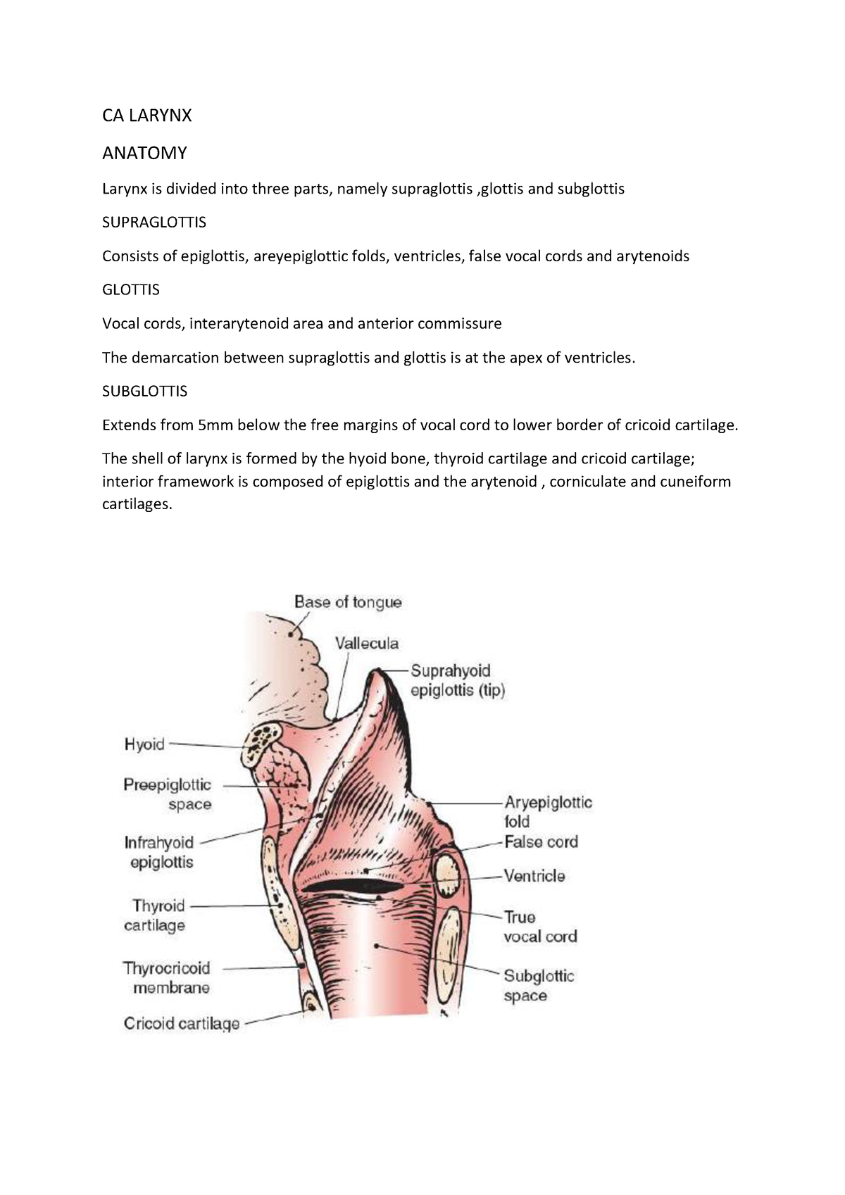 1624272718257 CA Larynx - CA LARYNX ANATOMY Larynx is divided into ...