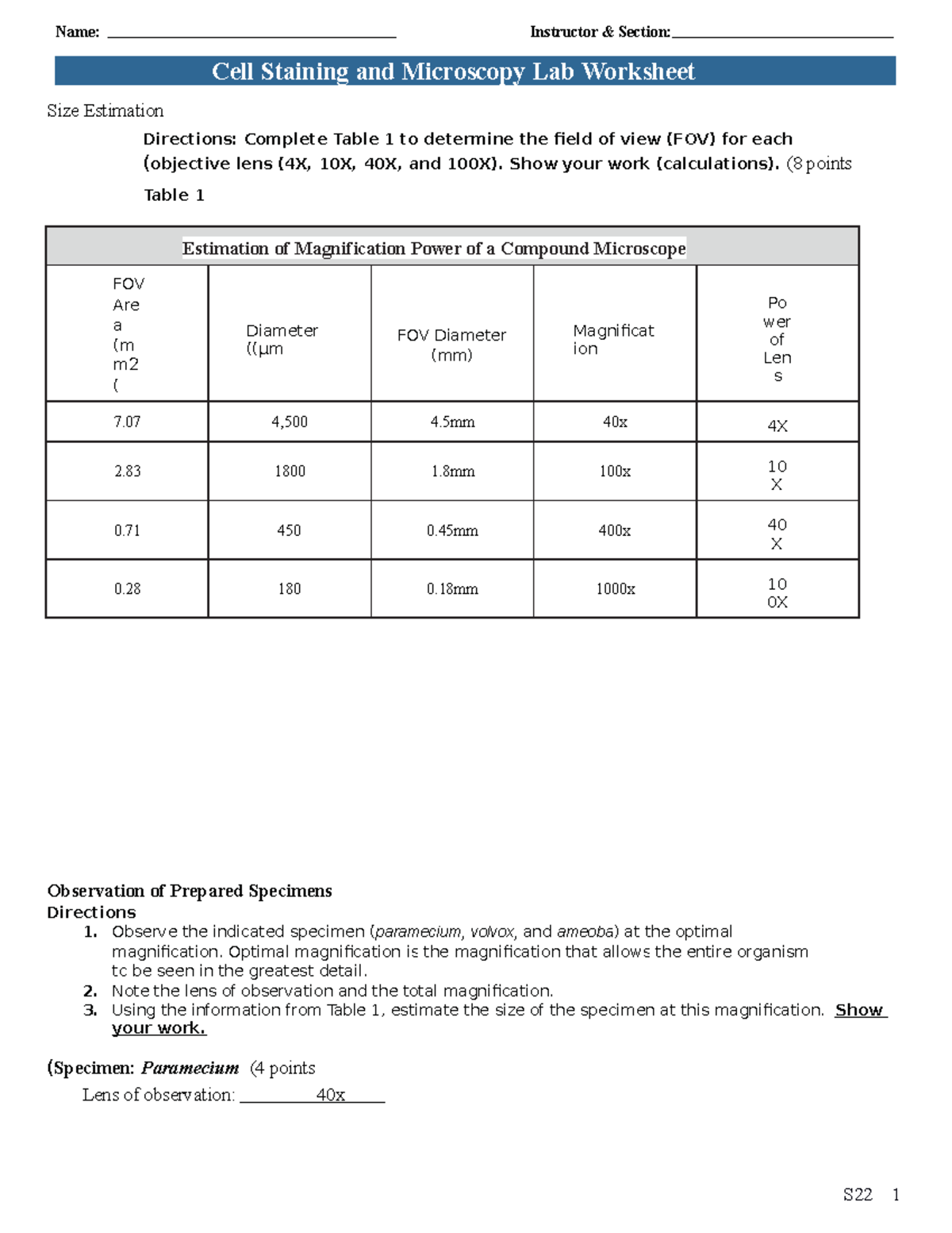 S22 Cell Staining and Microscopy Worksheet - Size Estimation Directions ...