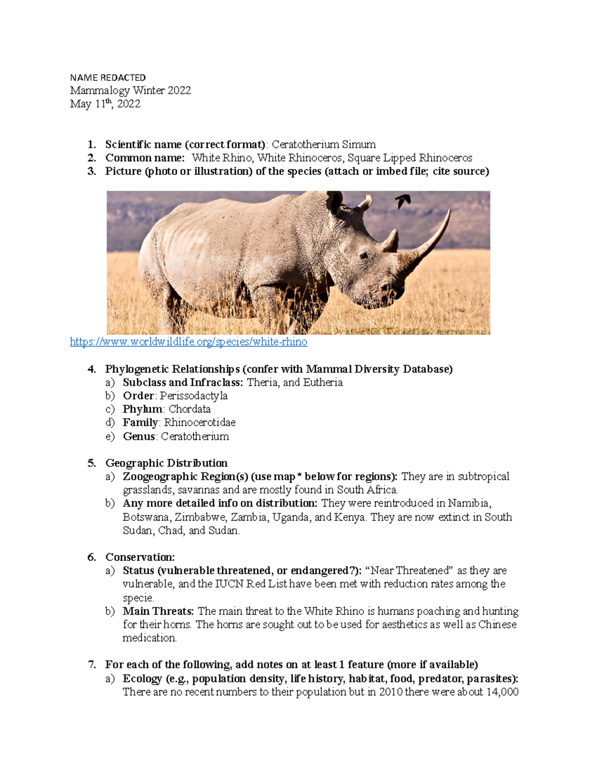 Mammology Species Prep White Rhino - NAME REDACTED Mammalogy Winter