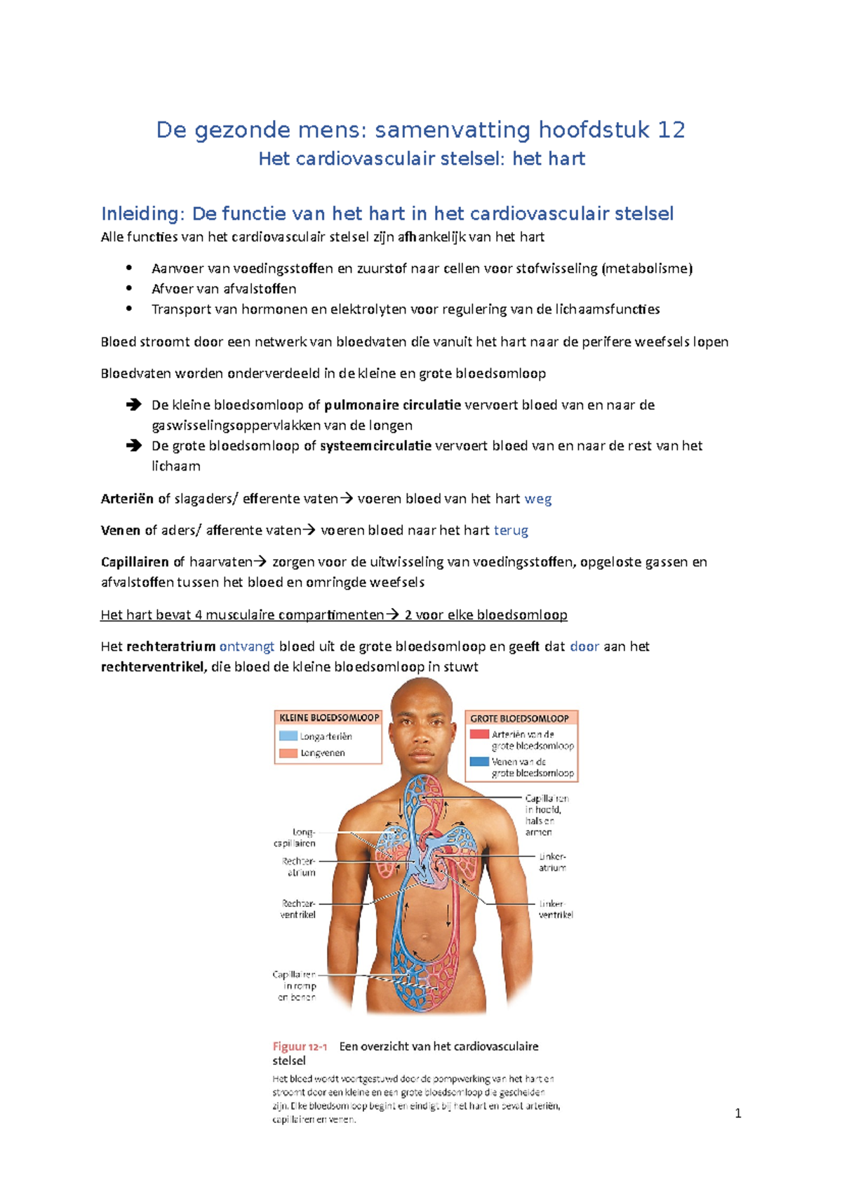 Samenvatting Hoofdstuk 12 - De Gezonde Mens: Samenvatting Hoofdstuk 12 ...