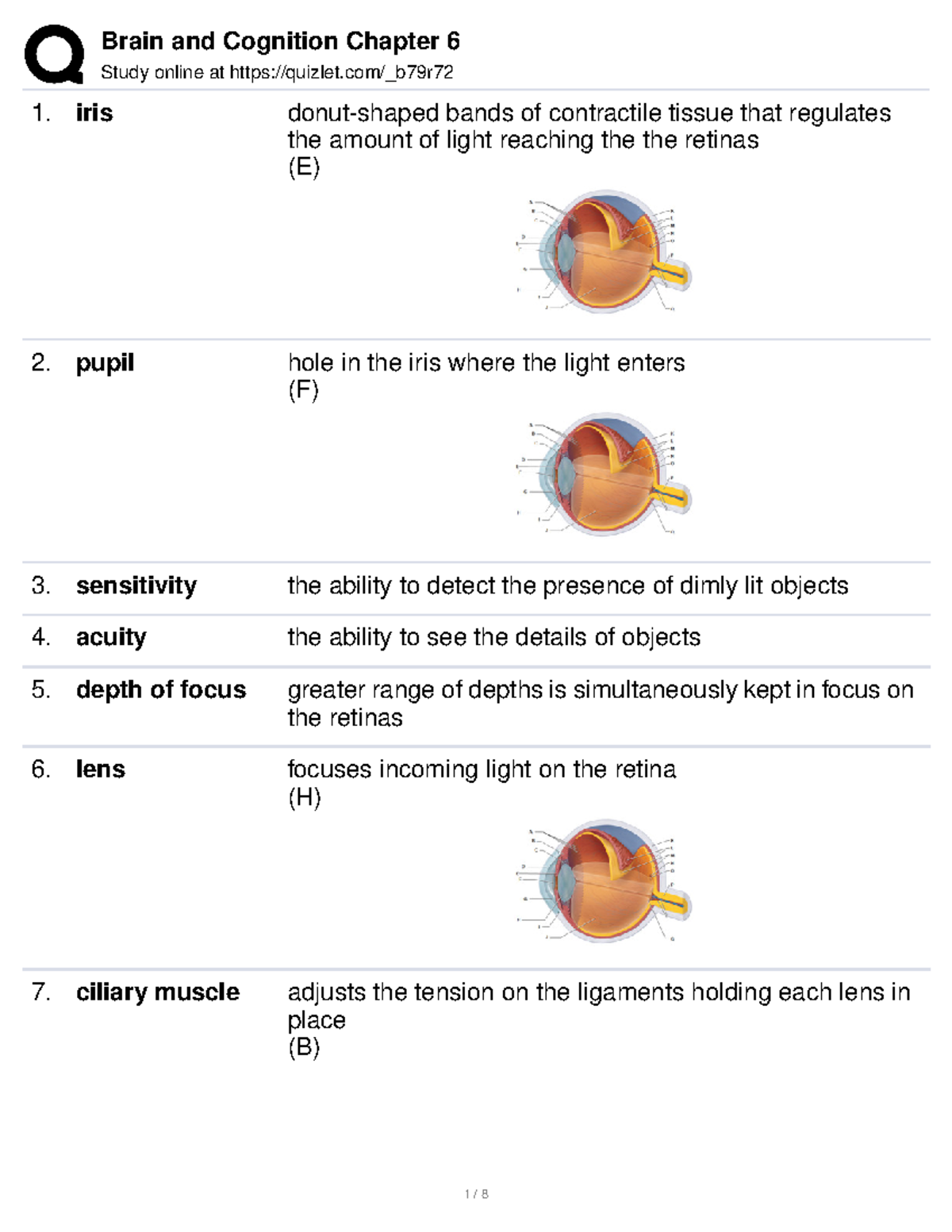 Brain and Cognition Chapter 6 Study online at quizlet/_b79r iris