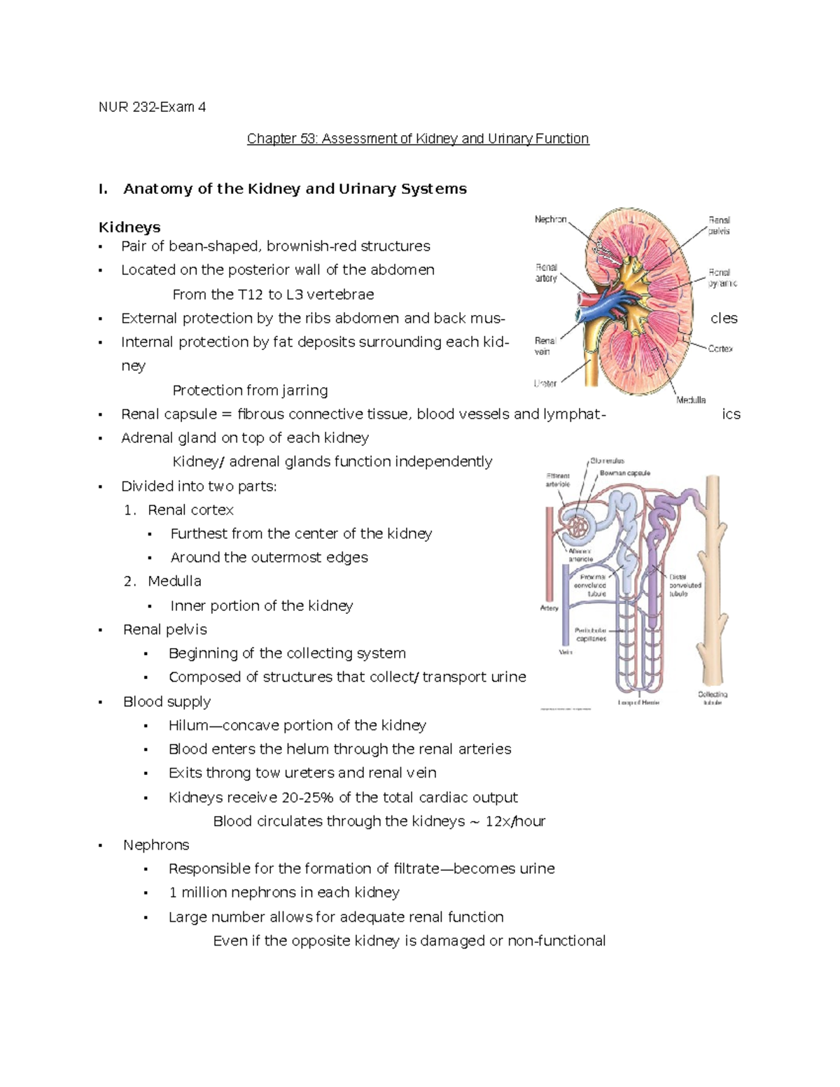 case study chapter 53 assessment of kidney and urinary function